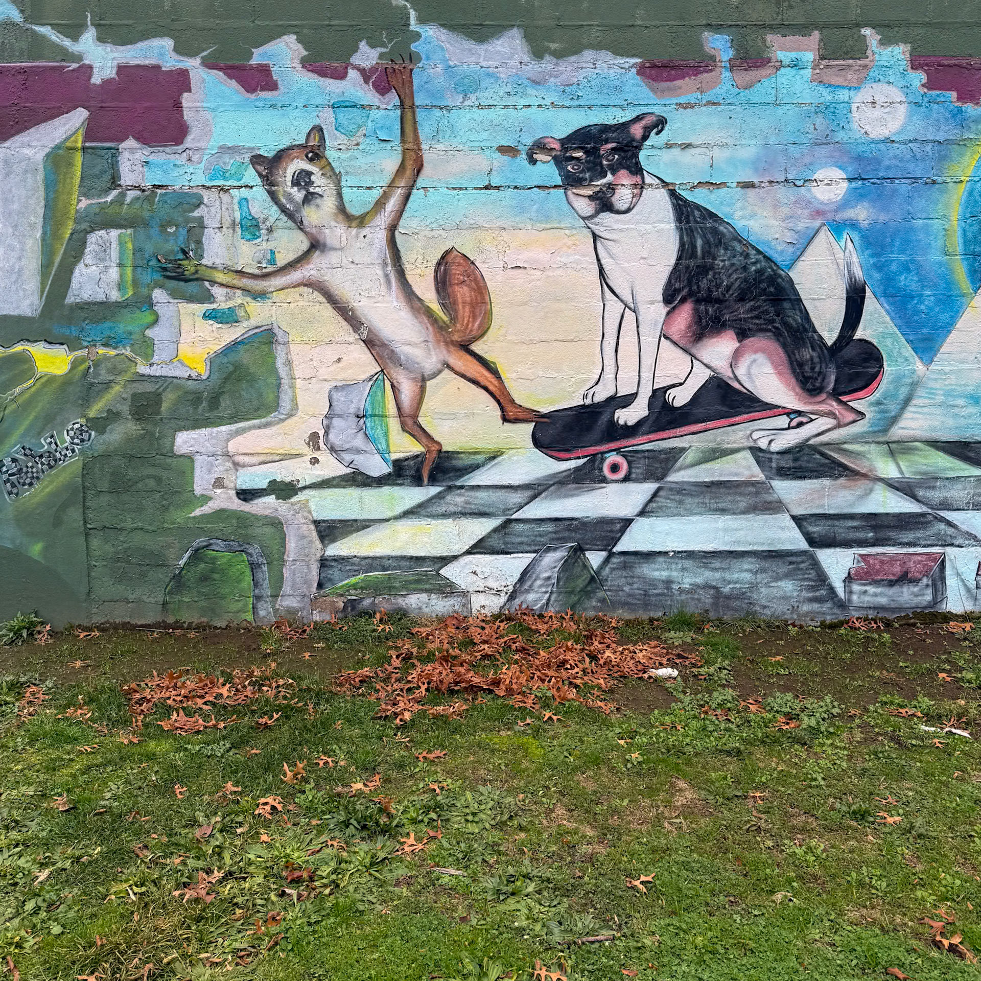 12/18/2024 NE Alberta St Walk