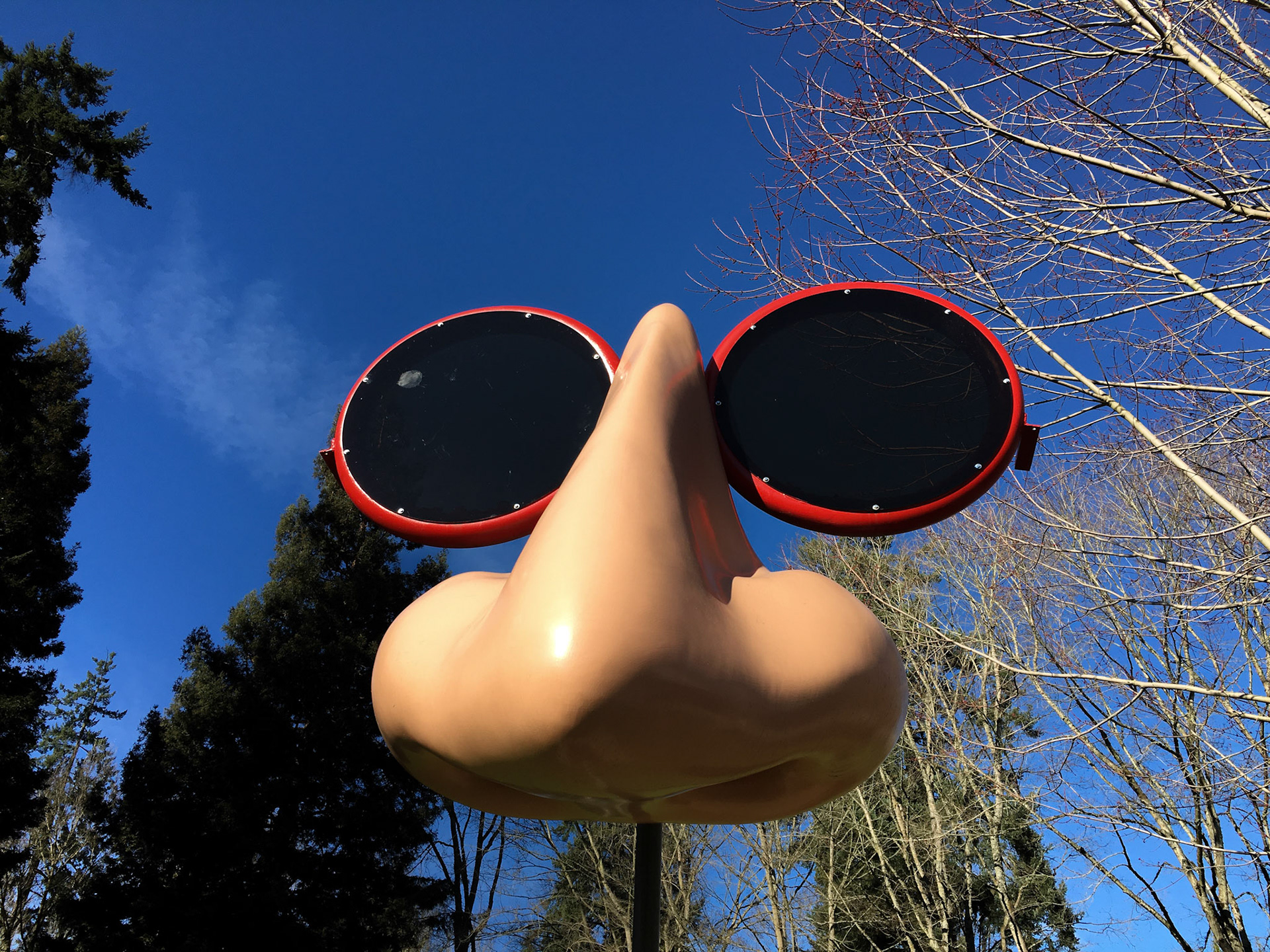 https://pamplinmedia.com/pt/11-features/265620-138729-head-outdoors-to-view-sculptures-in-lake-o