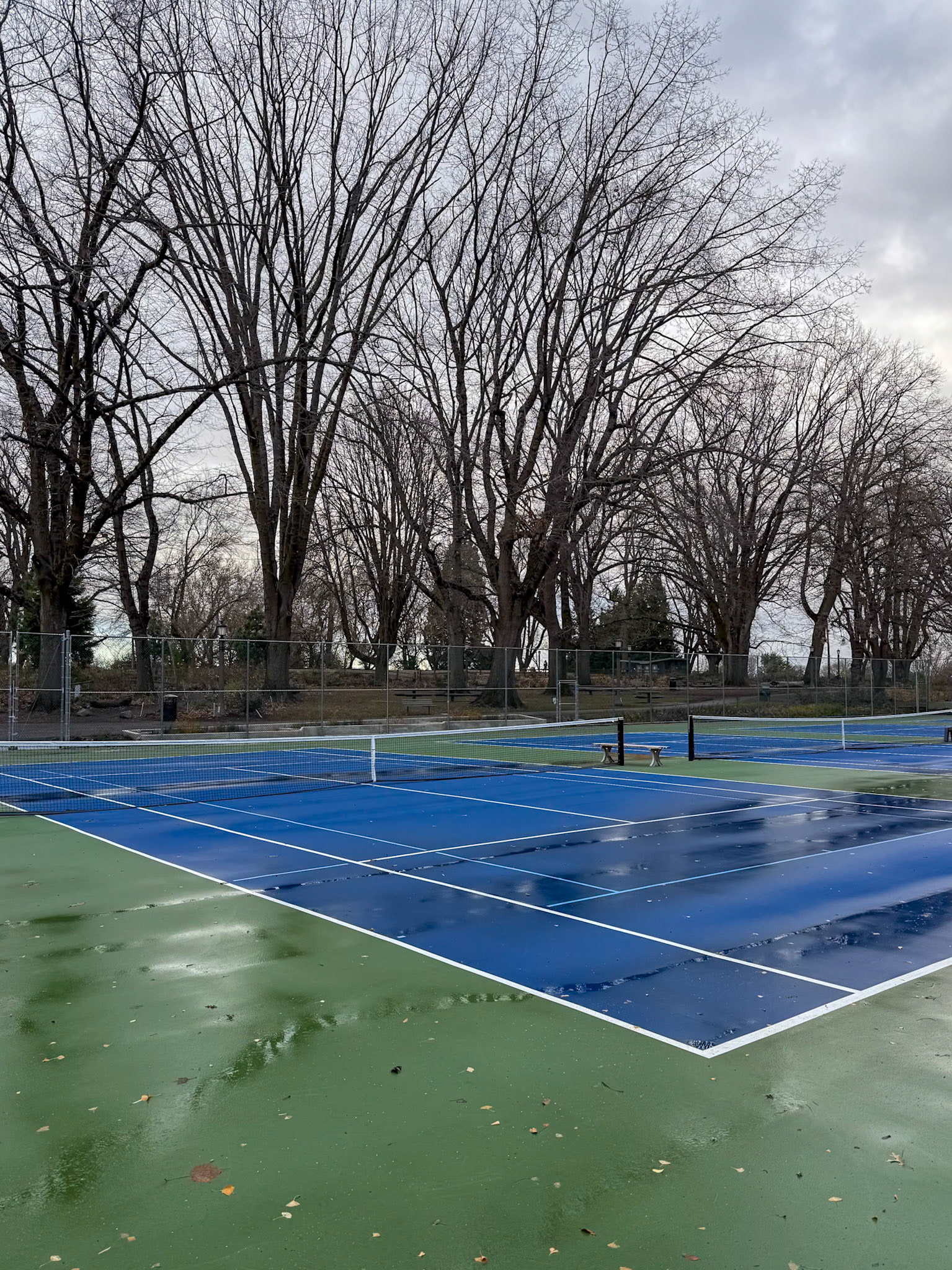 12/18/2024 NE Alberta St Walk