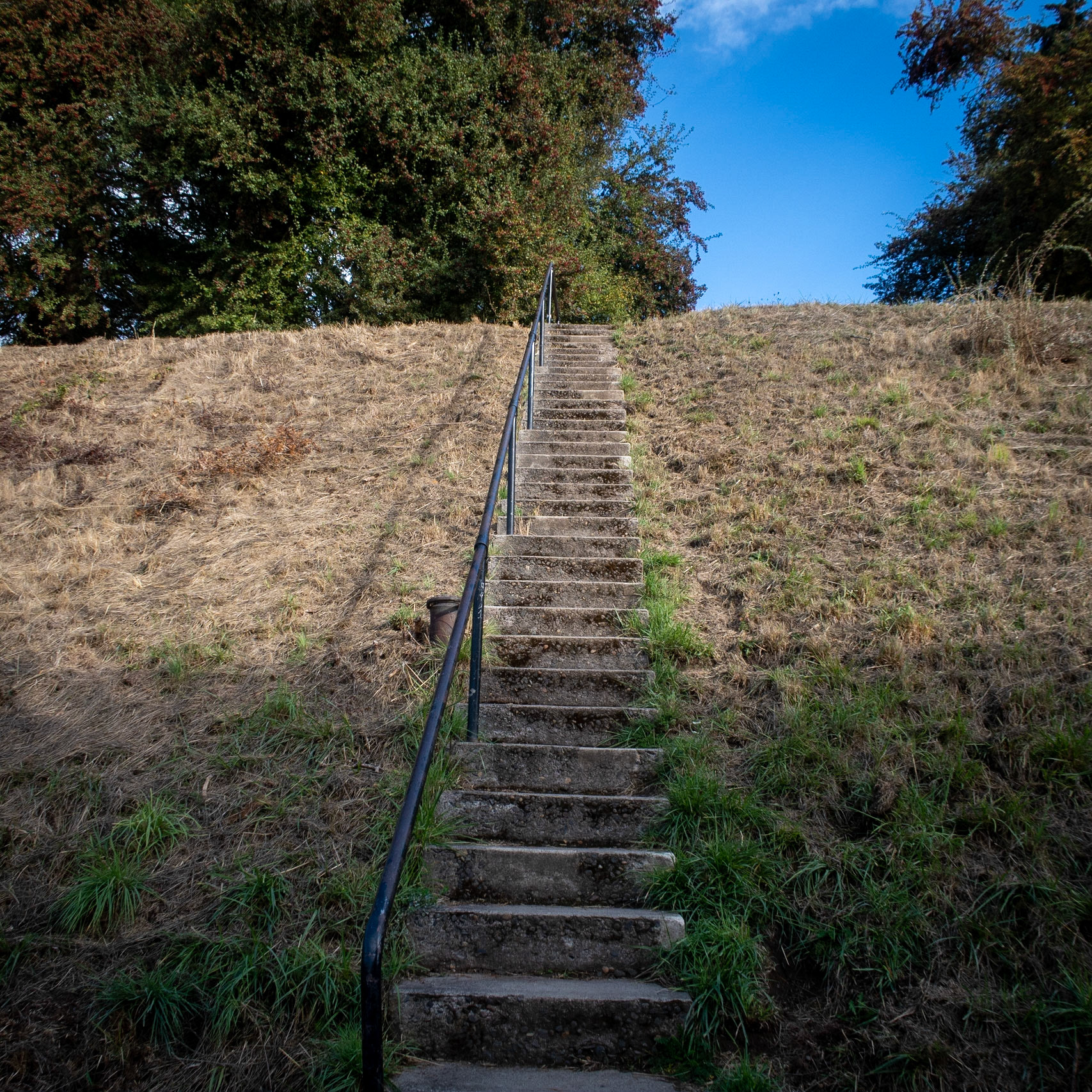 10/27/2022 Portland Mt Tabor Loop Walk