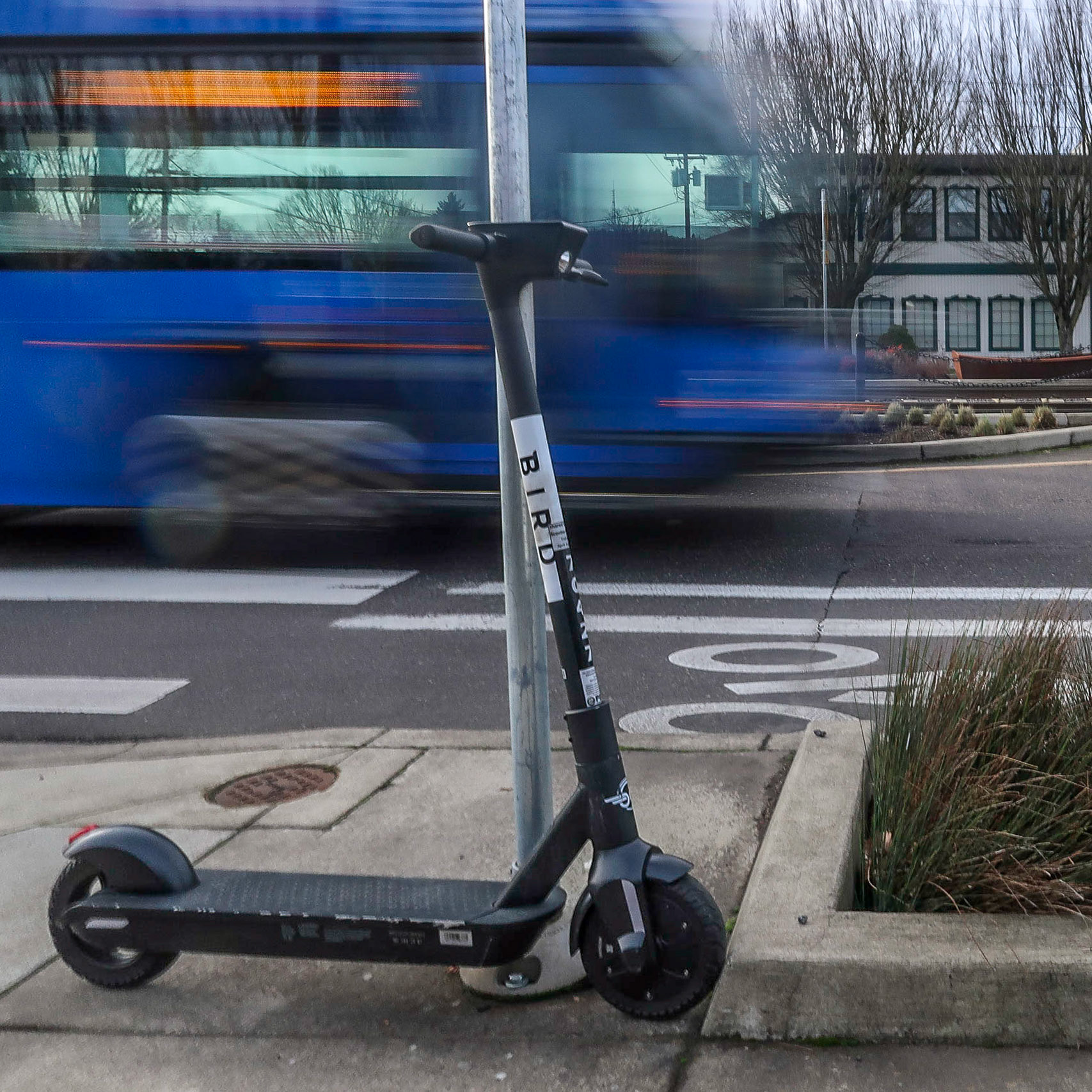 Pacific Northwest Photowalks 1/25/2020 Portland TriMet Line 70 Walk 1