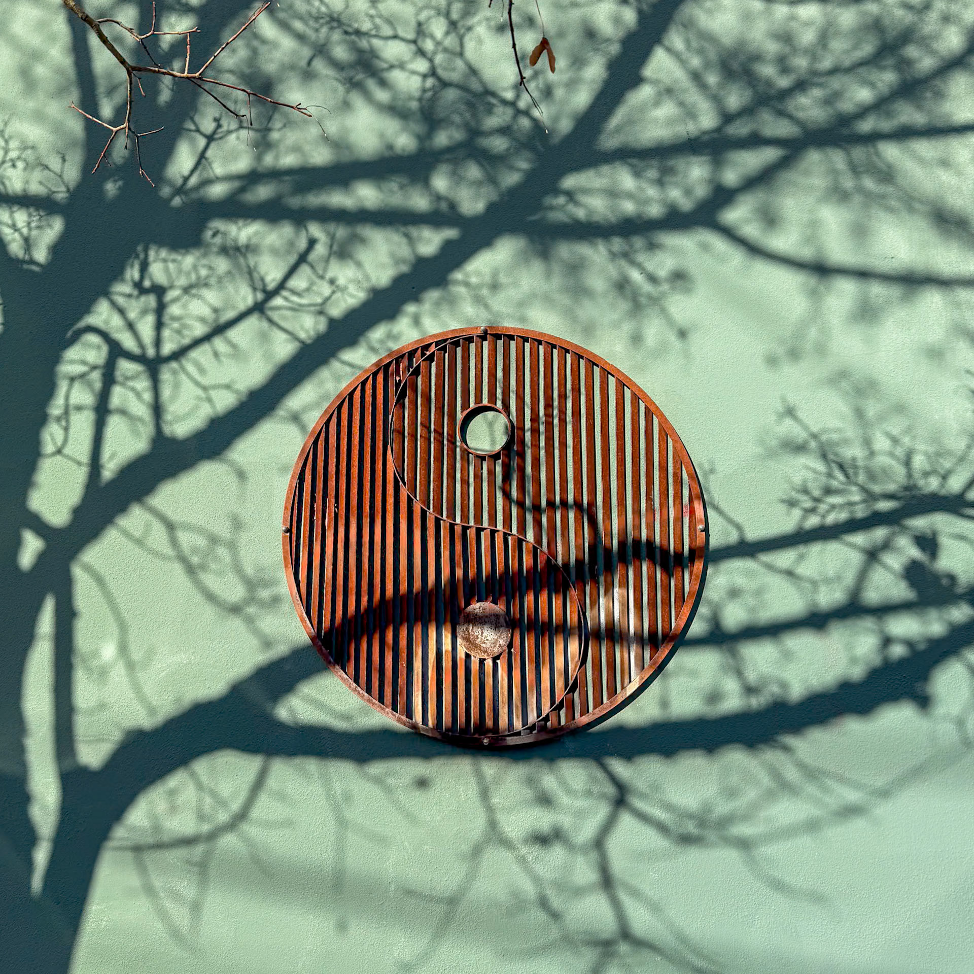 12/9/2024 NE Portland Walk