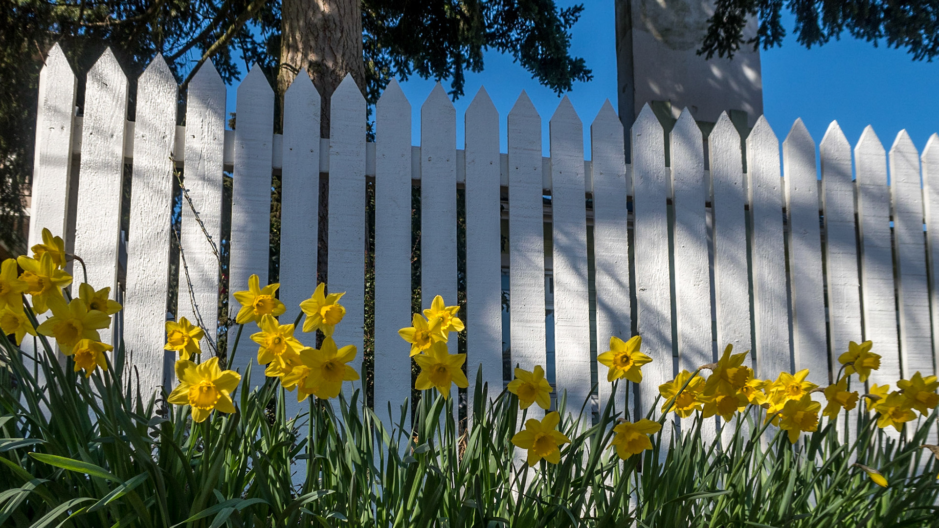 https://en.wikipedia.org/wiki/Picket_fence