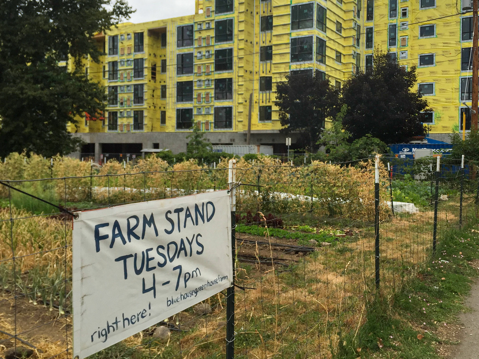 7/11/2015 NE Portland Walk