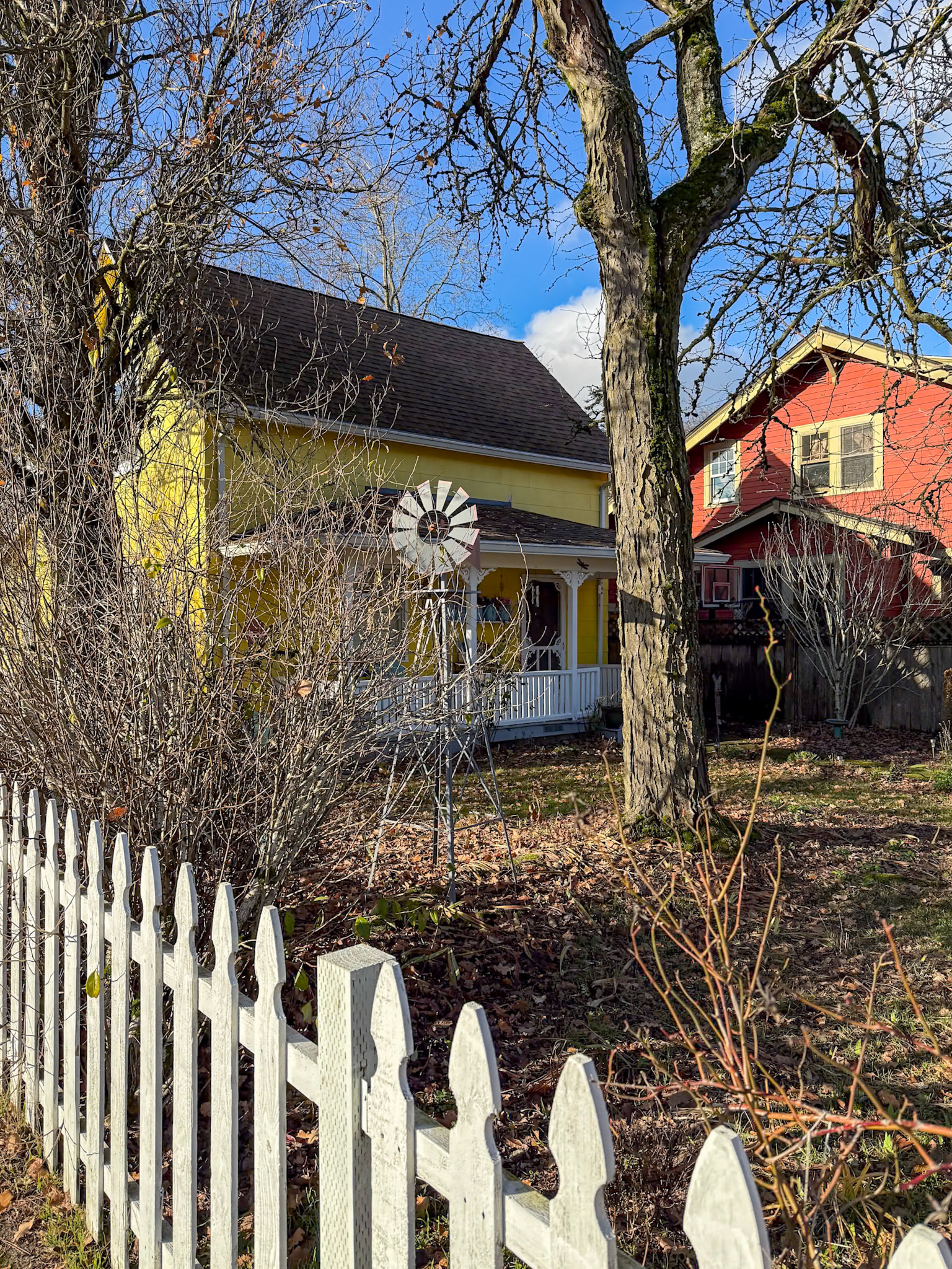 12/9/2024 NE Portland Walk