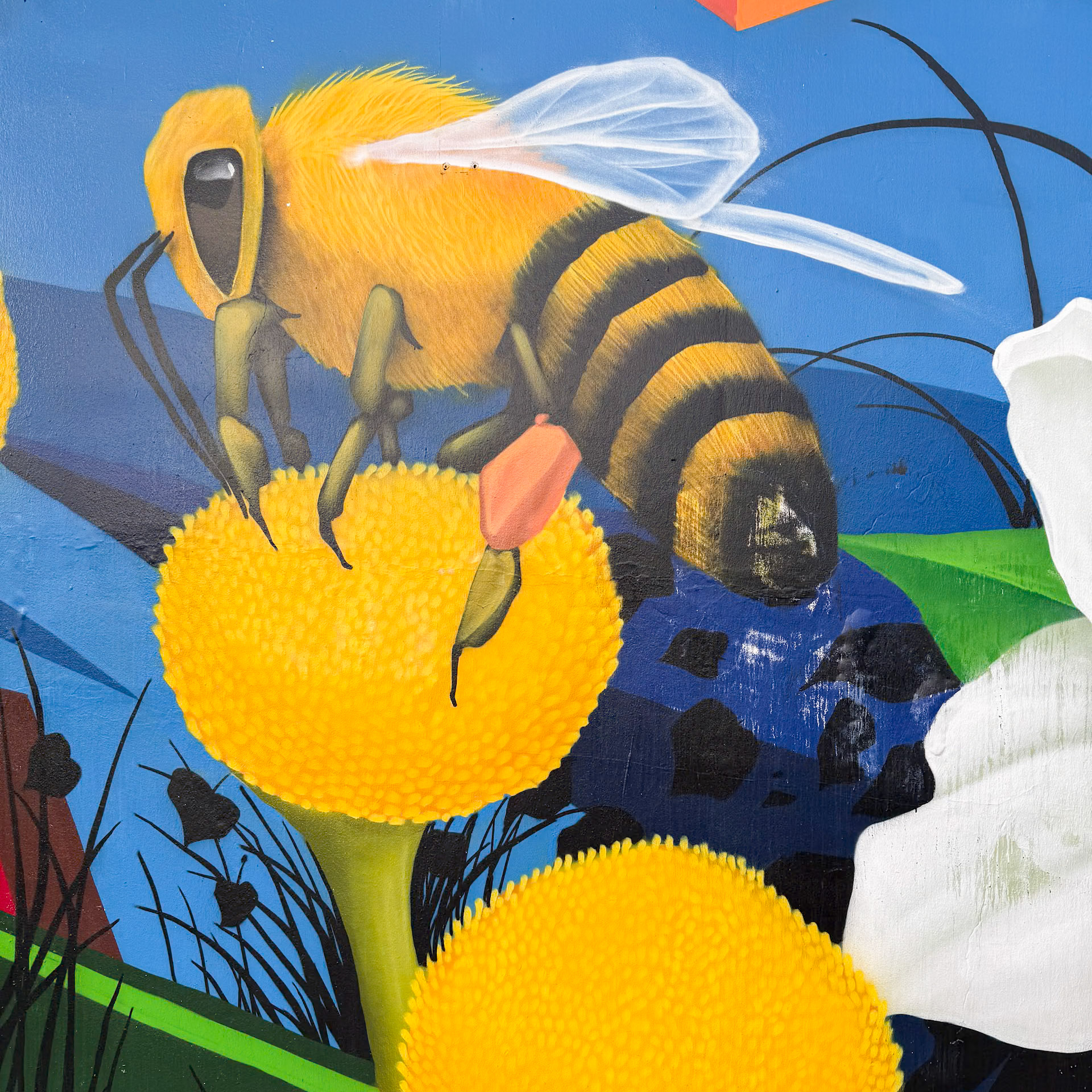 12/24/2024 Christmas Eve Walk in Lloyd District