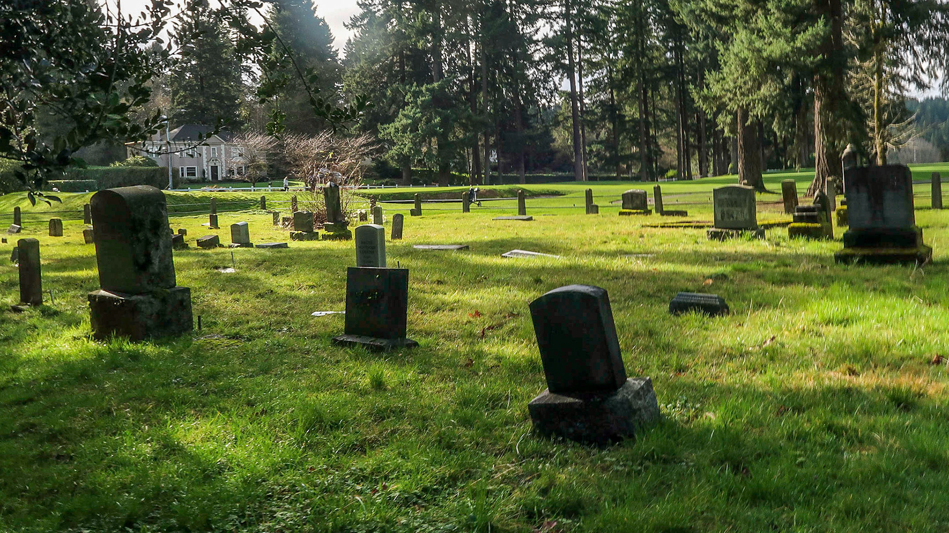 Pacific Northwest Photowalks 1/25/2020 Portland TriMet Line 70 Walk 1