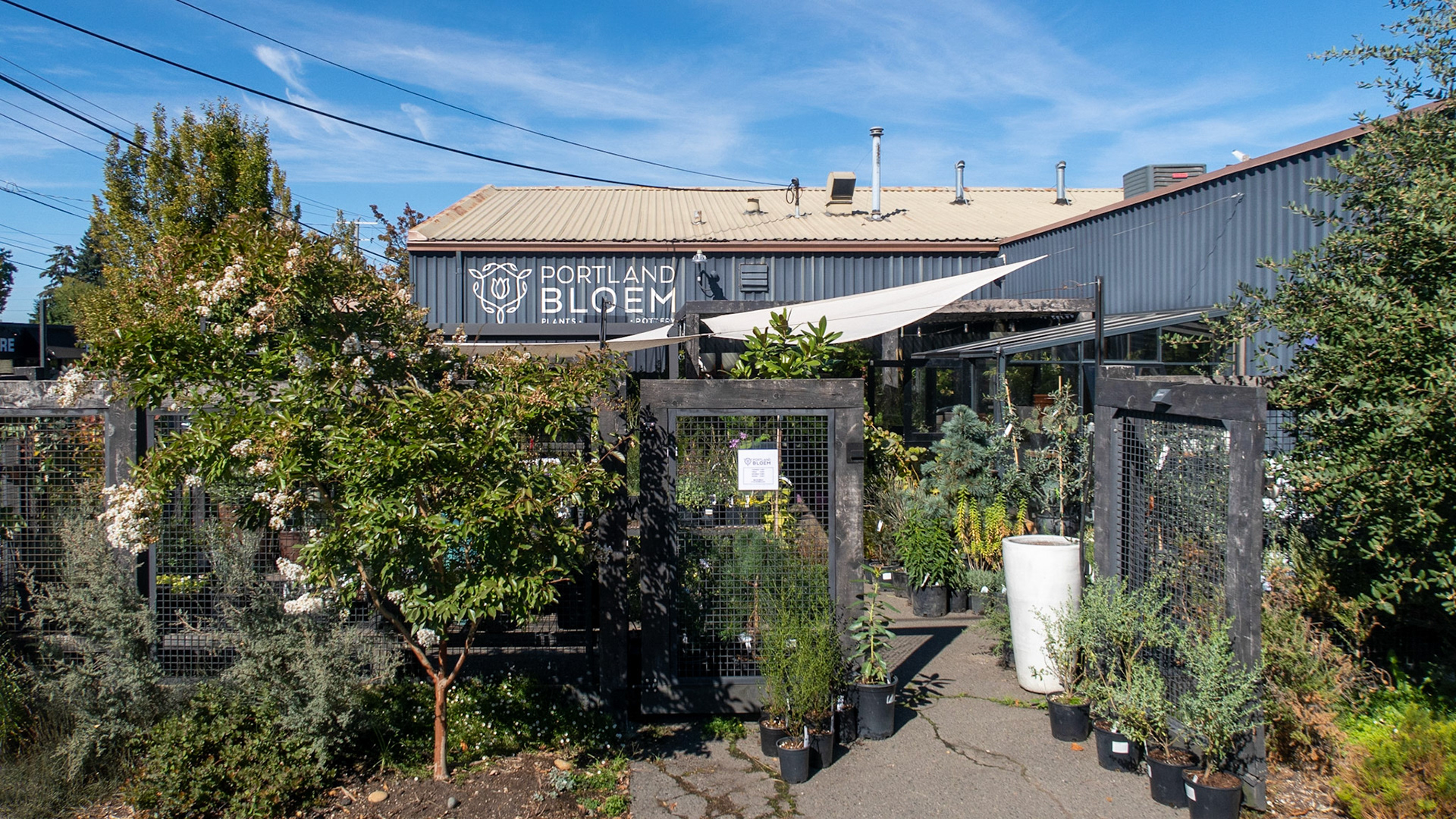 9/24/2022 NE Cully Walk