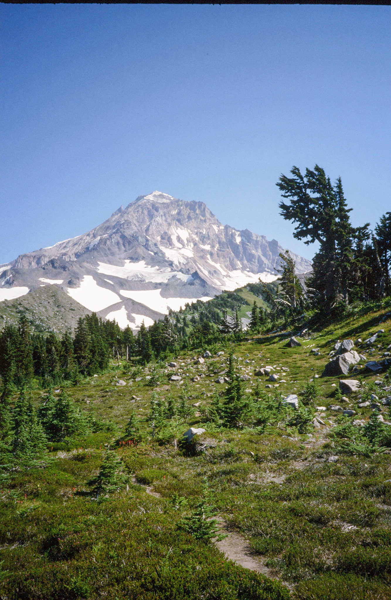 7/1986 Mt Rainer Lost Lake Backpacking Trip