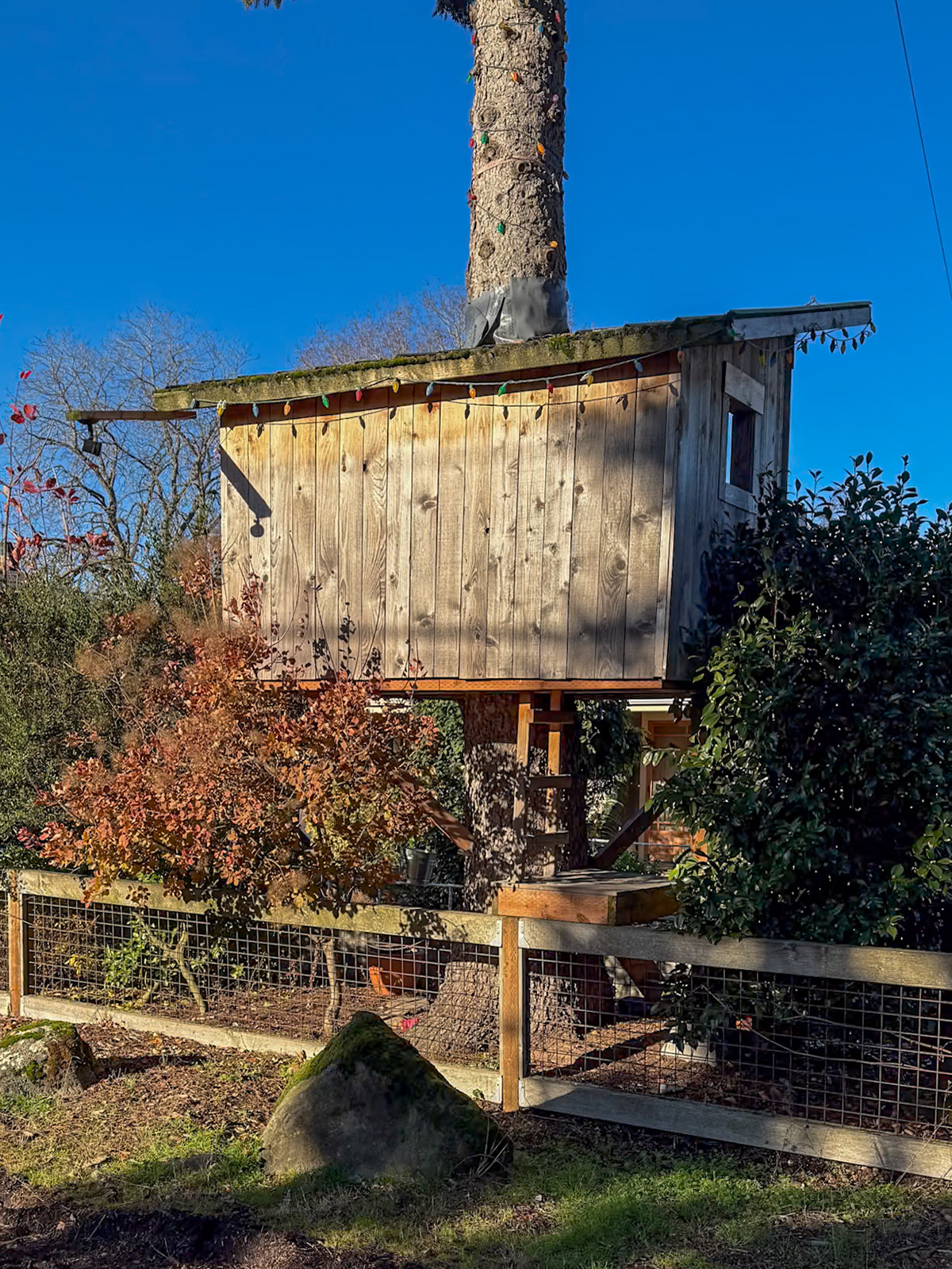 12/1/2024 NE Portland Walk