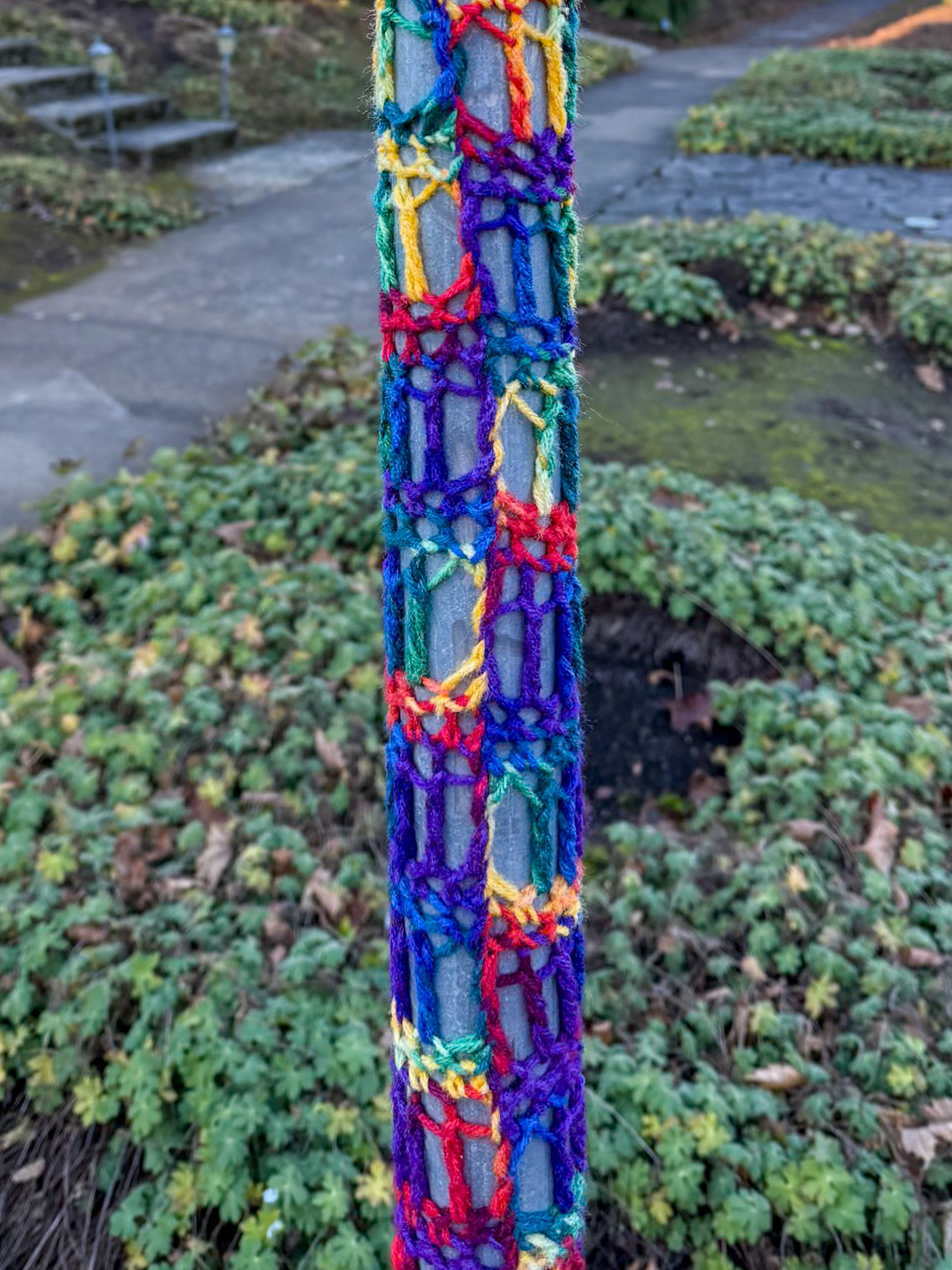 12/1/2024 NE Portland Walk