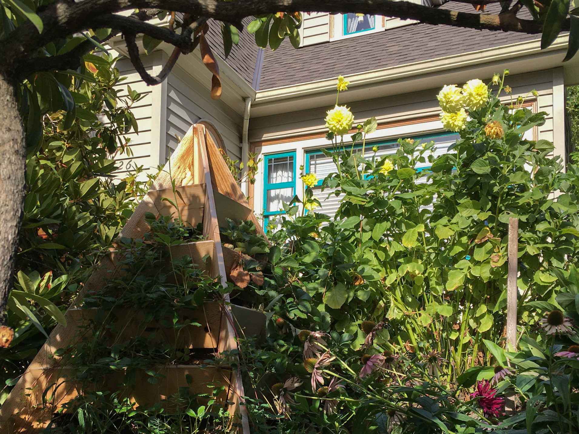 8/21/2016 NE Portland Walk