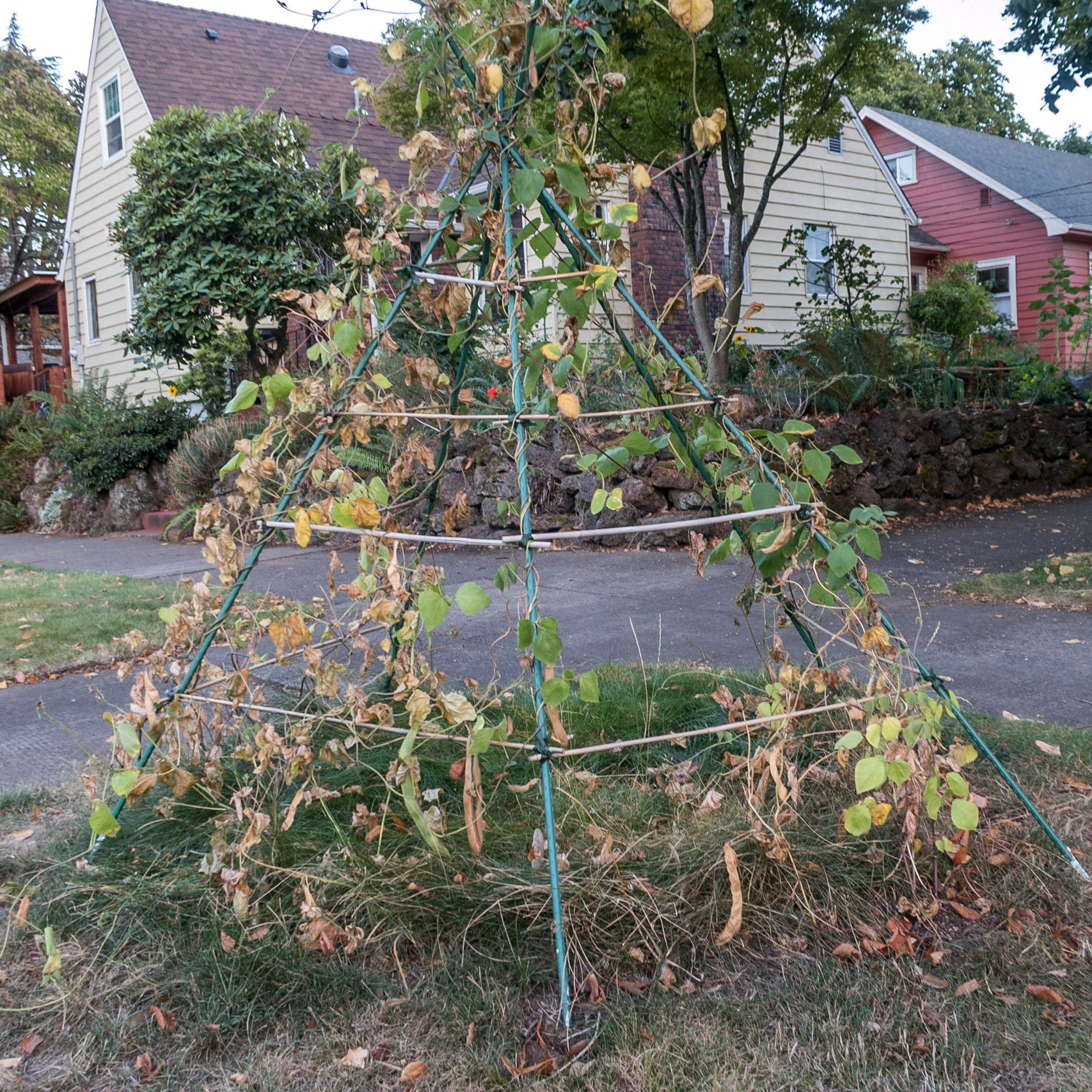 Sidewalk Sight