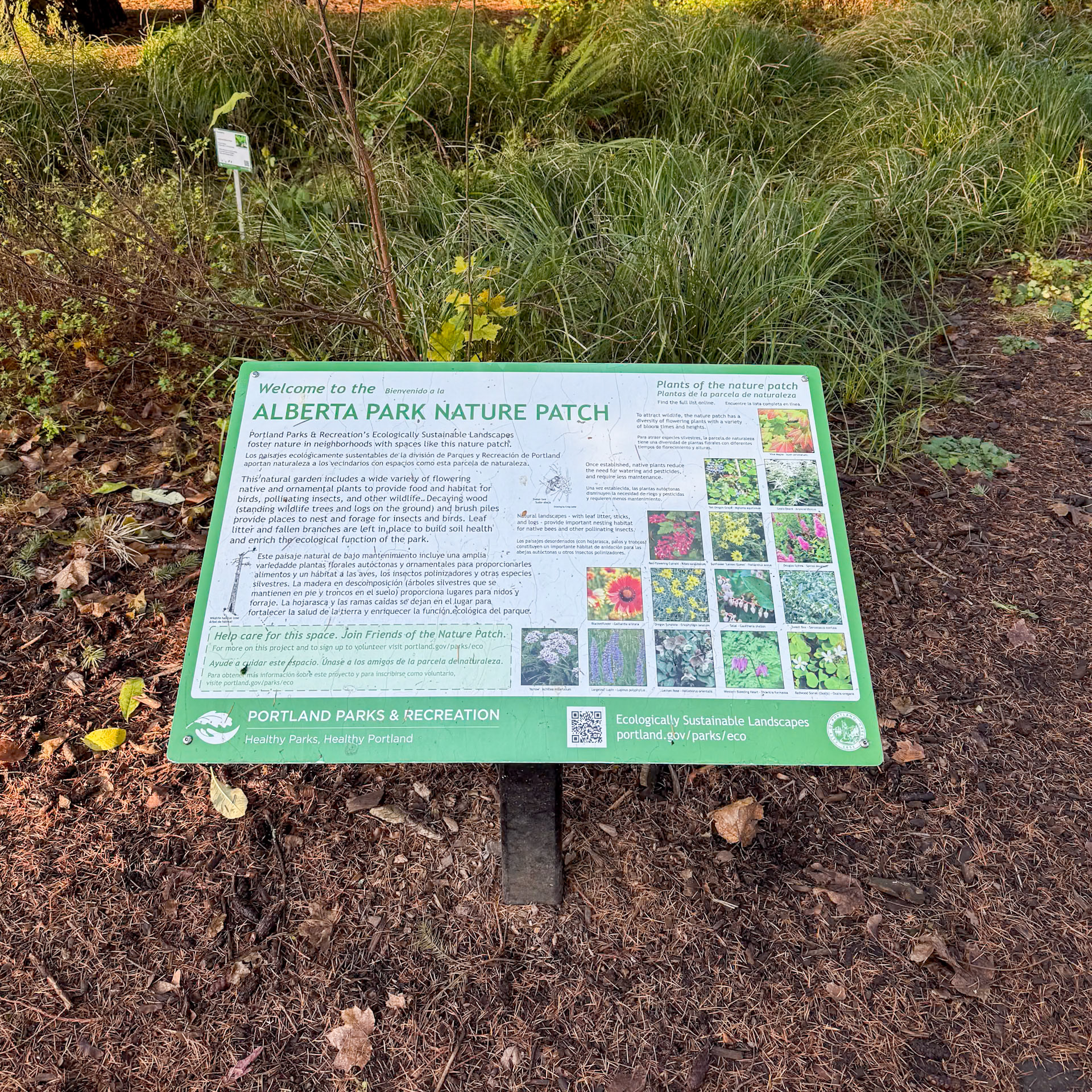 12/9/2024 NE Portland Walk