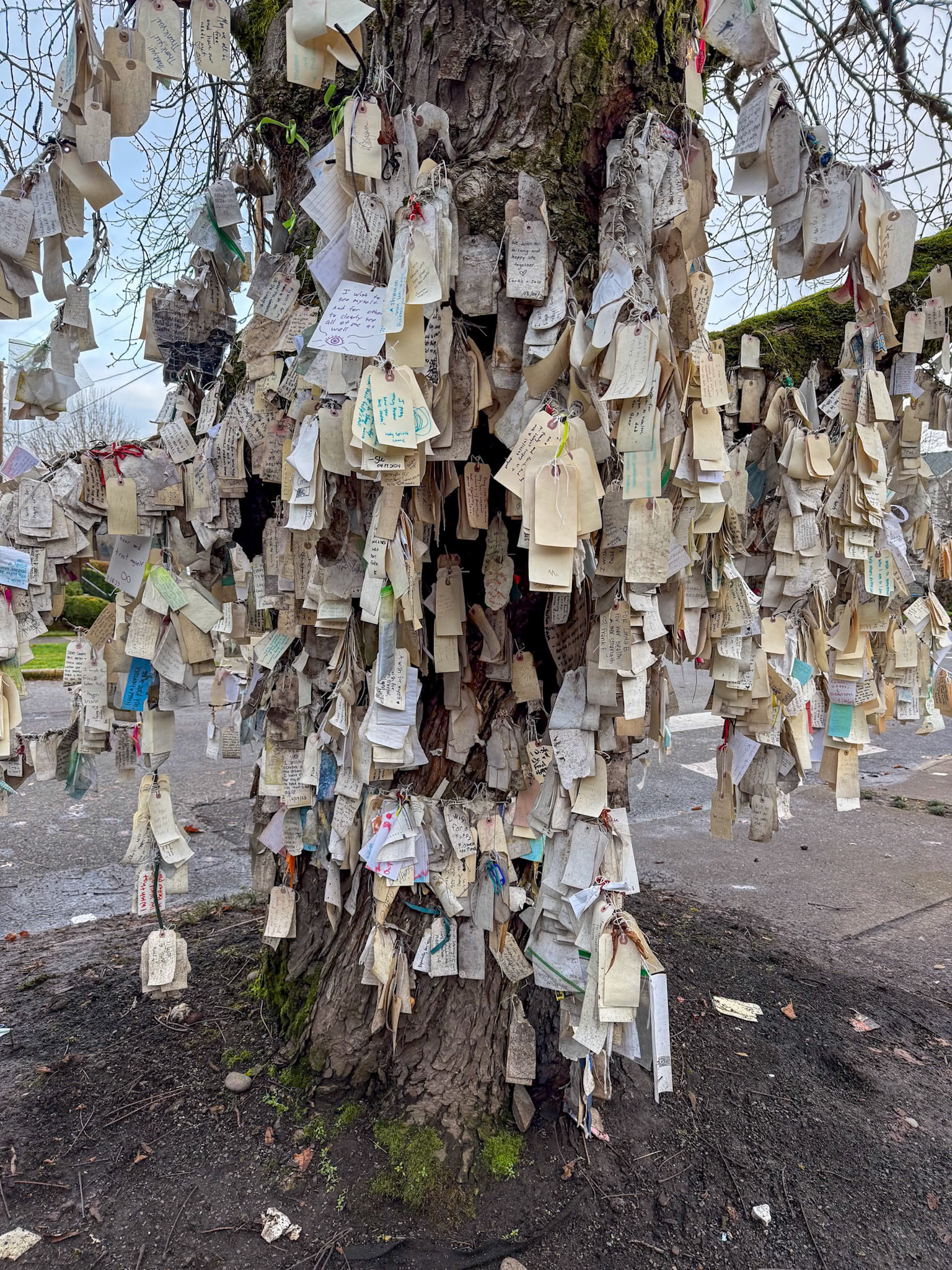 12/18/2024 NE Alberta St Walk