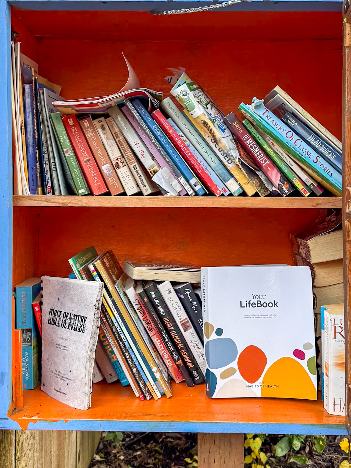 12/18/2024 NE Alberta St Walk