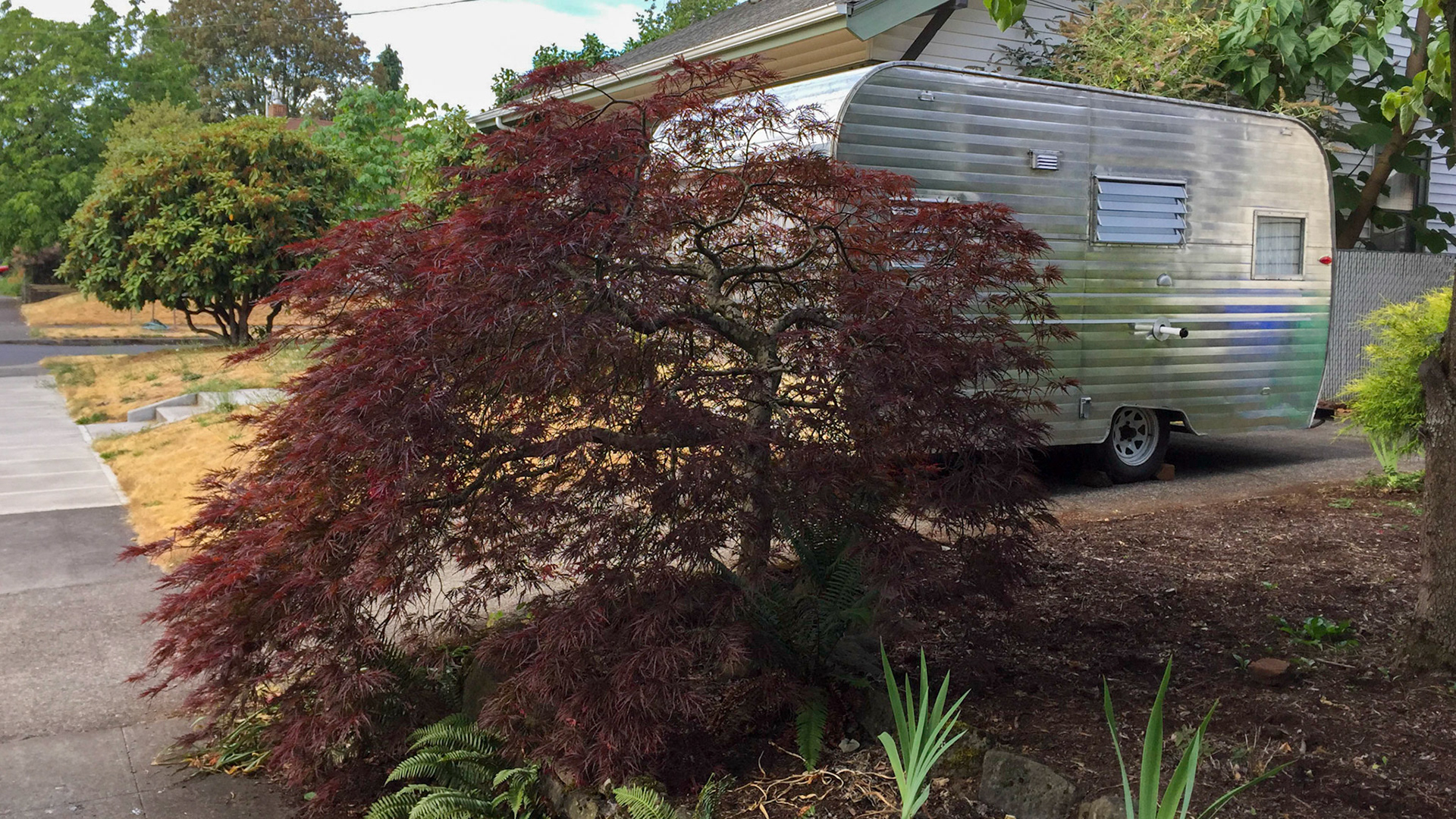 7/12/2015 NE Portland Walk
