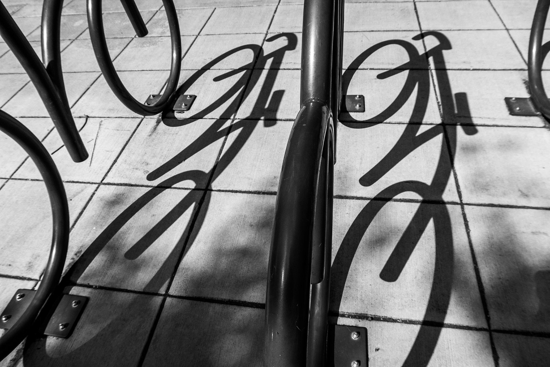 Bicycle Rack
