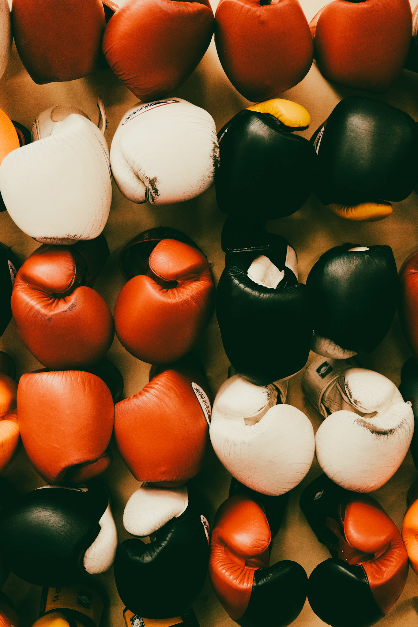 Glove rack, NWBC Ayrshire 2021