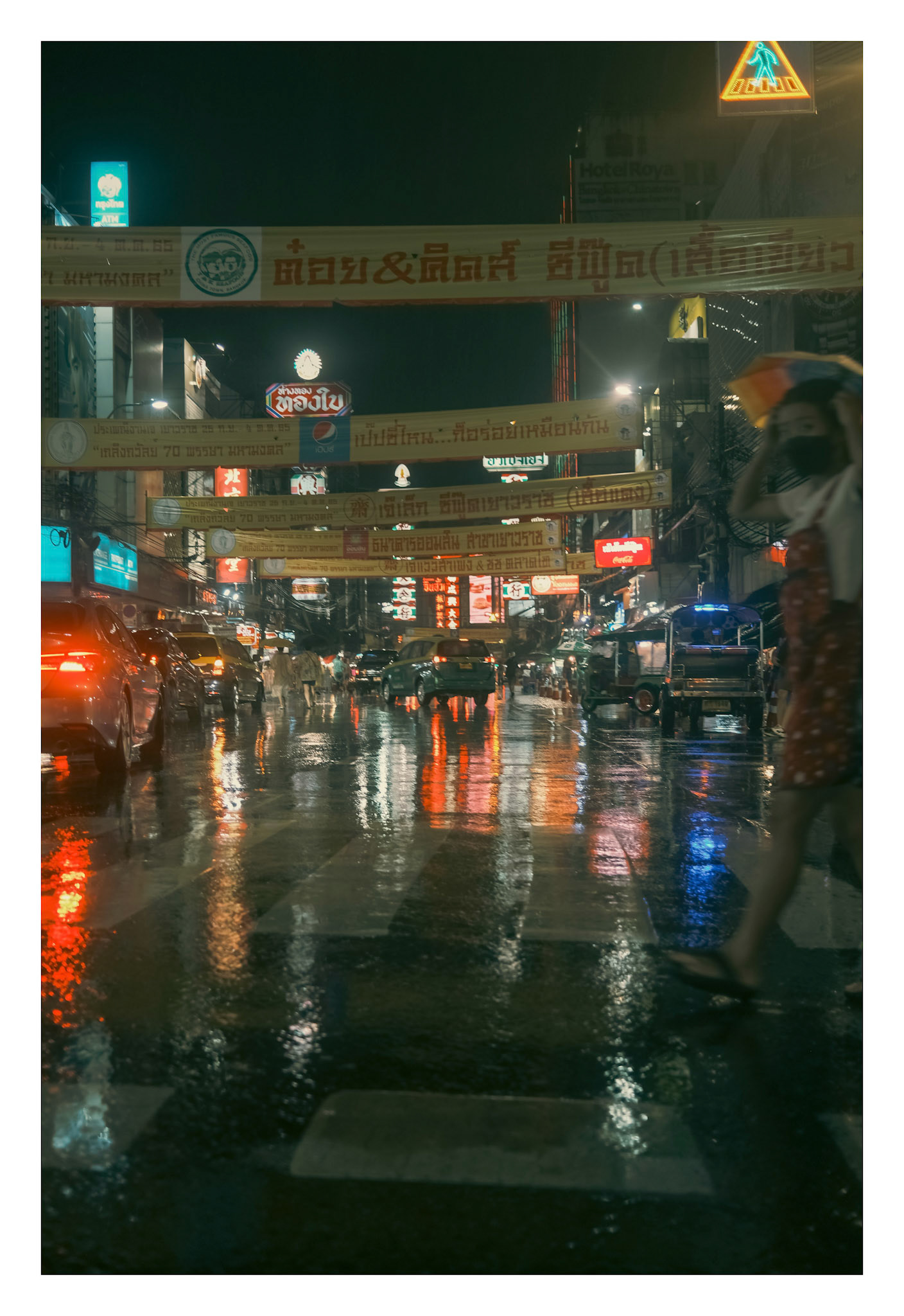 Tropical Rain Crossing