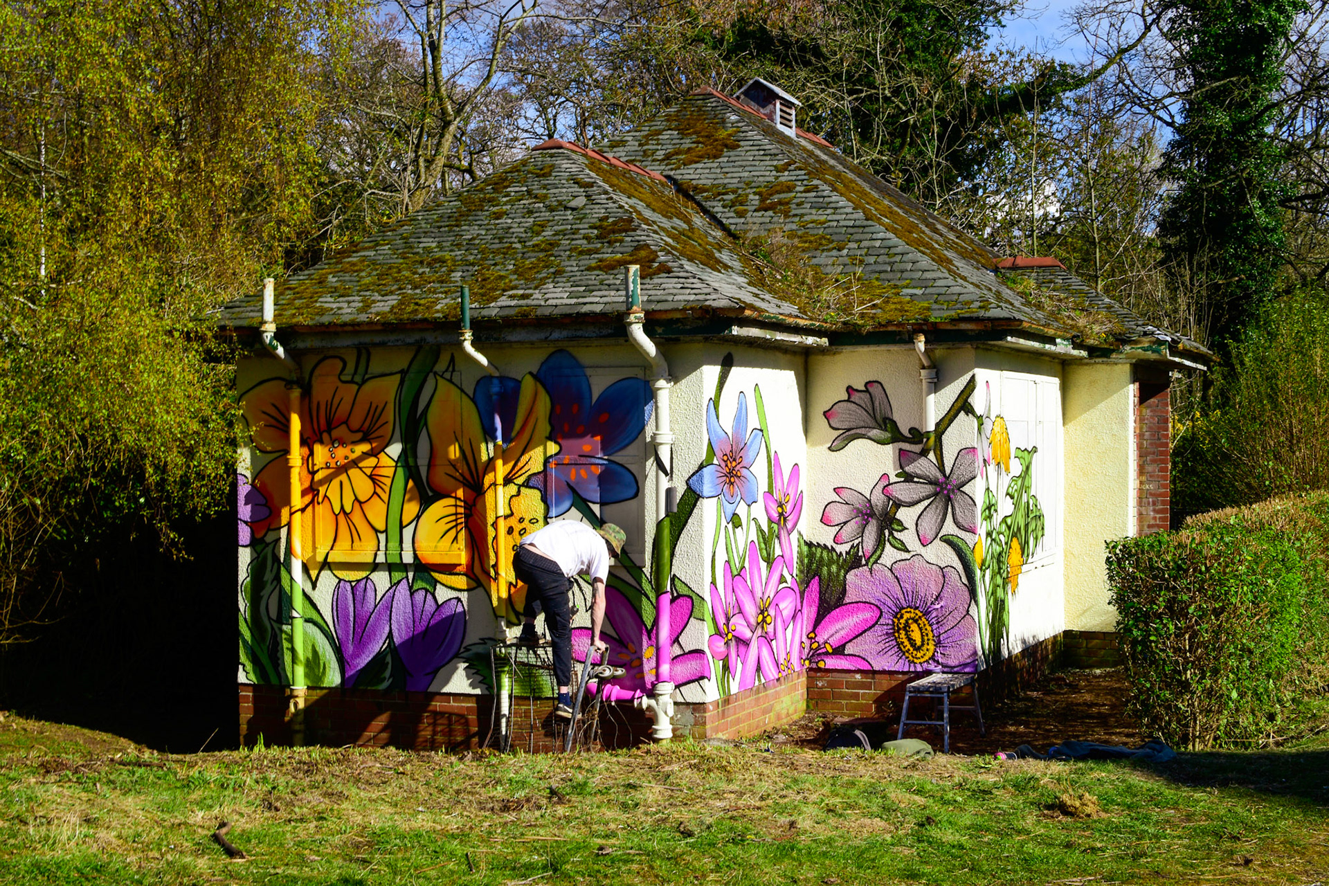 Barry the Cat & Sapien82 Shawland 2021