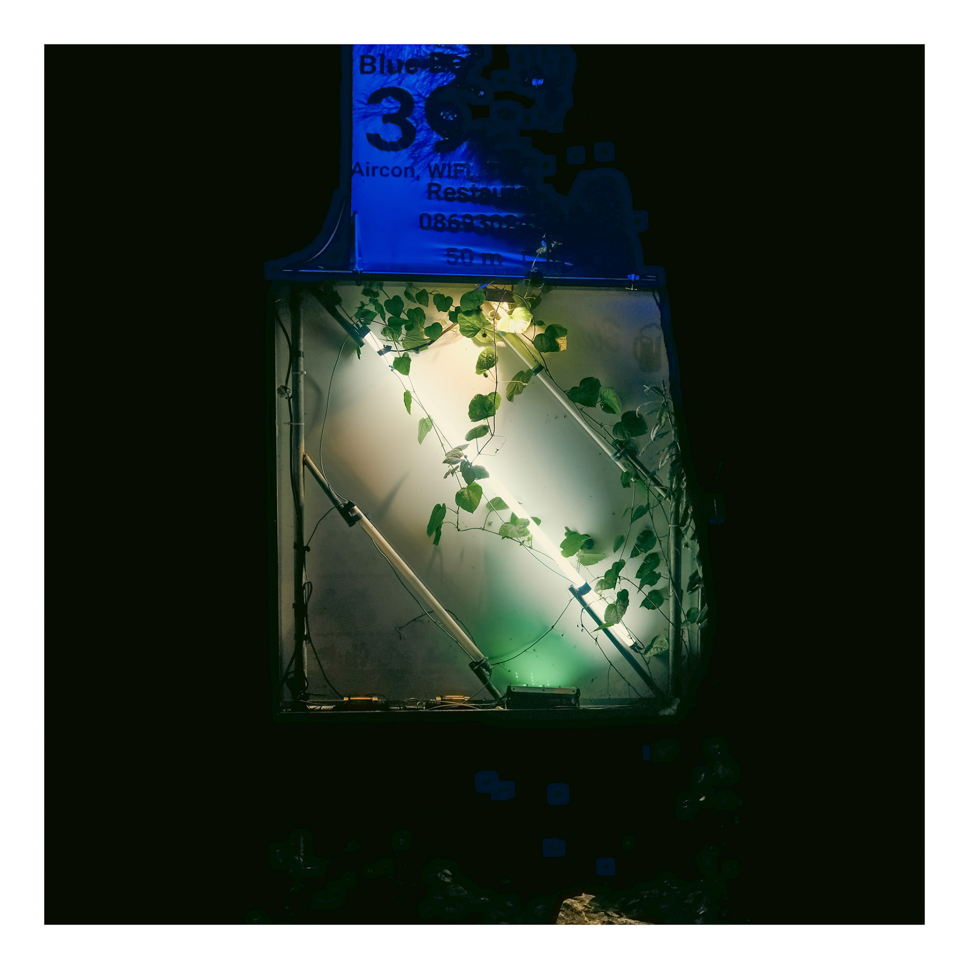 Ivy Light Sam Roi Yot