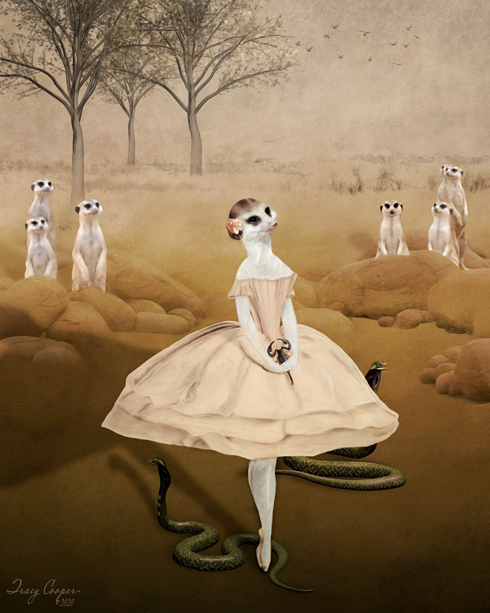 Flower, Queen of the Meerkats