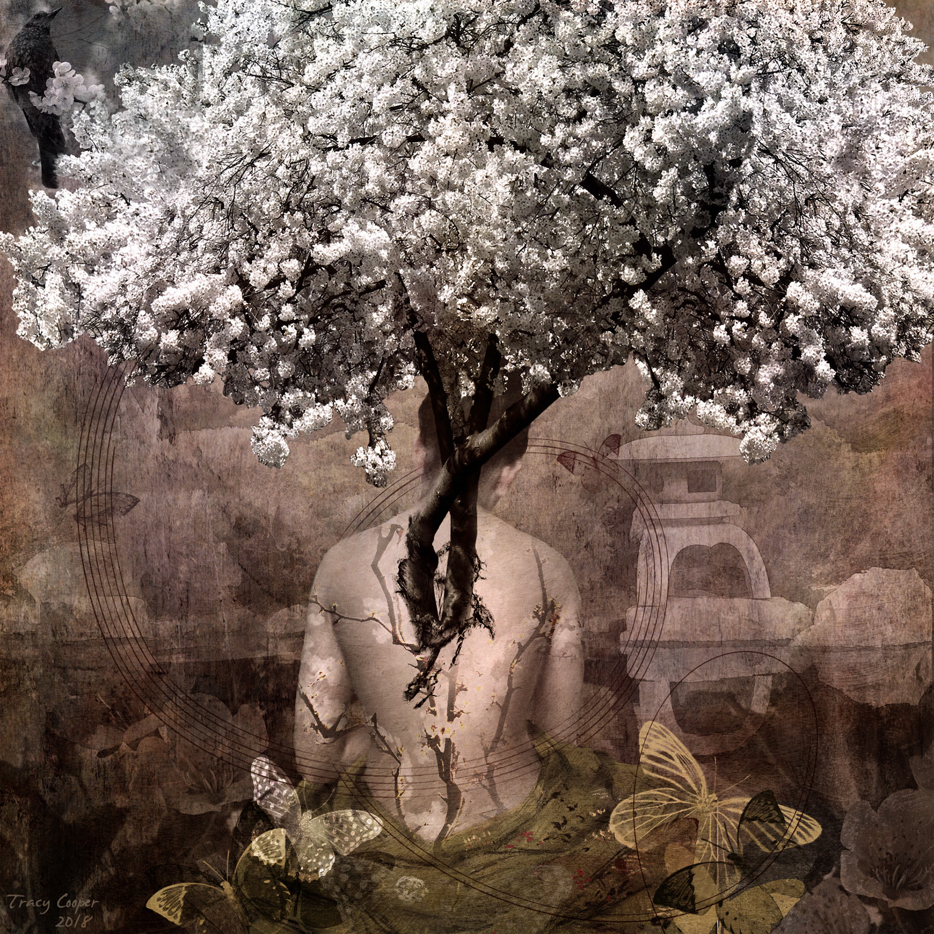 Bloom Where You Are Planted