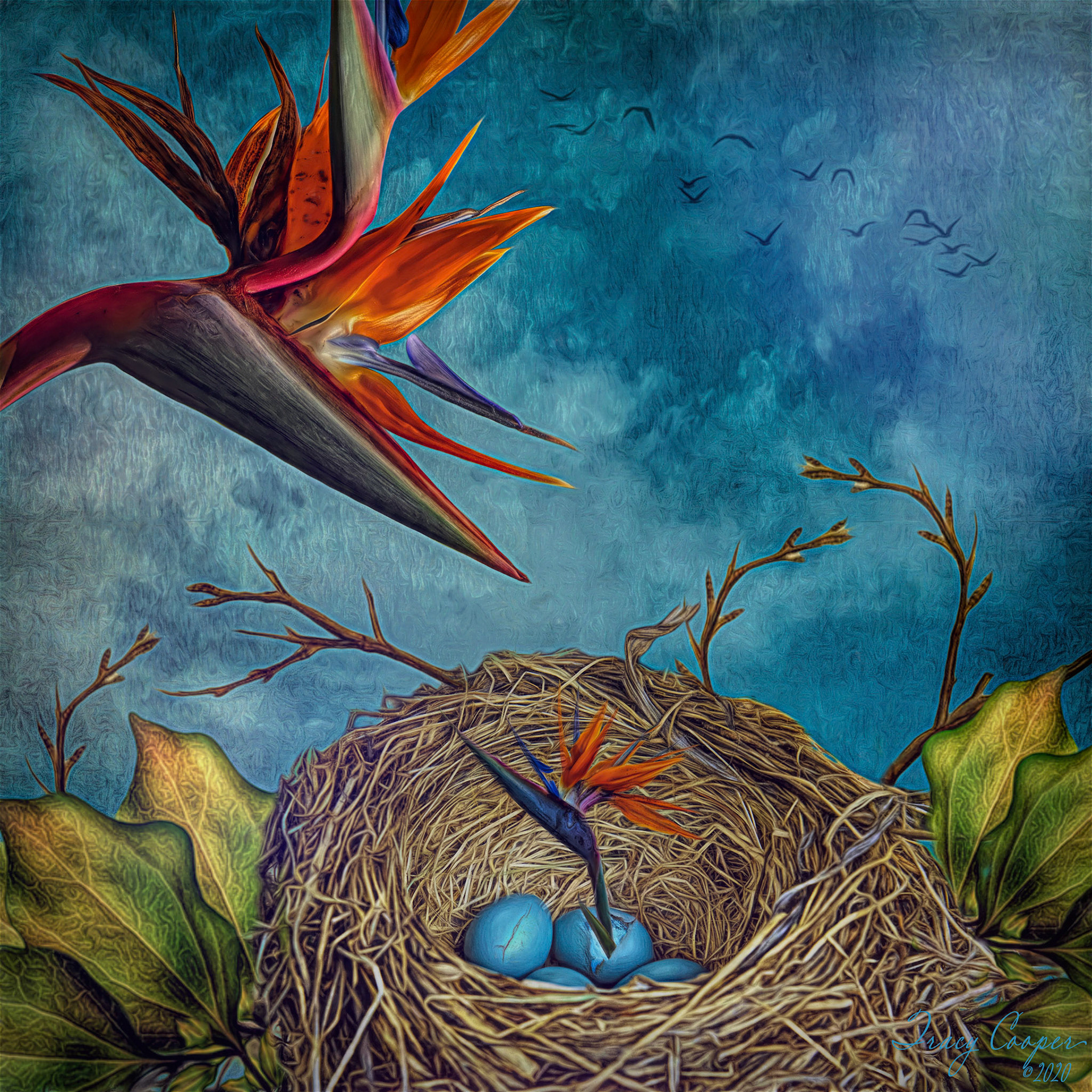 The Hatchling