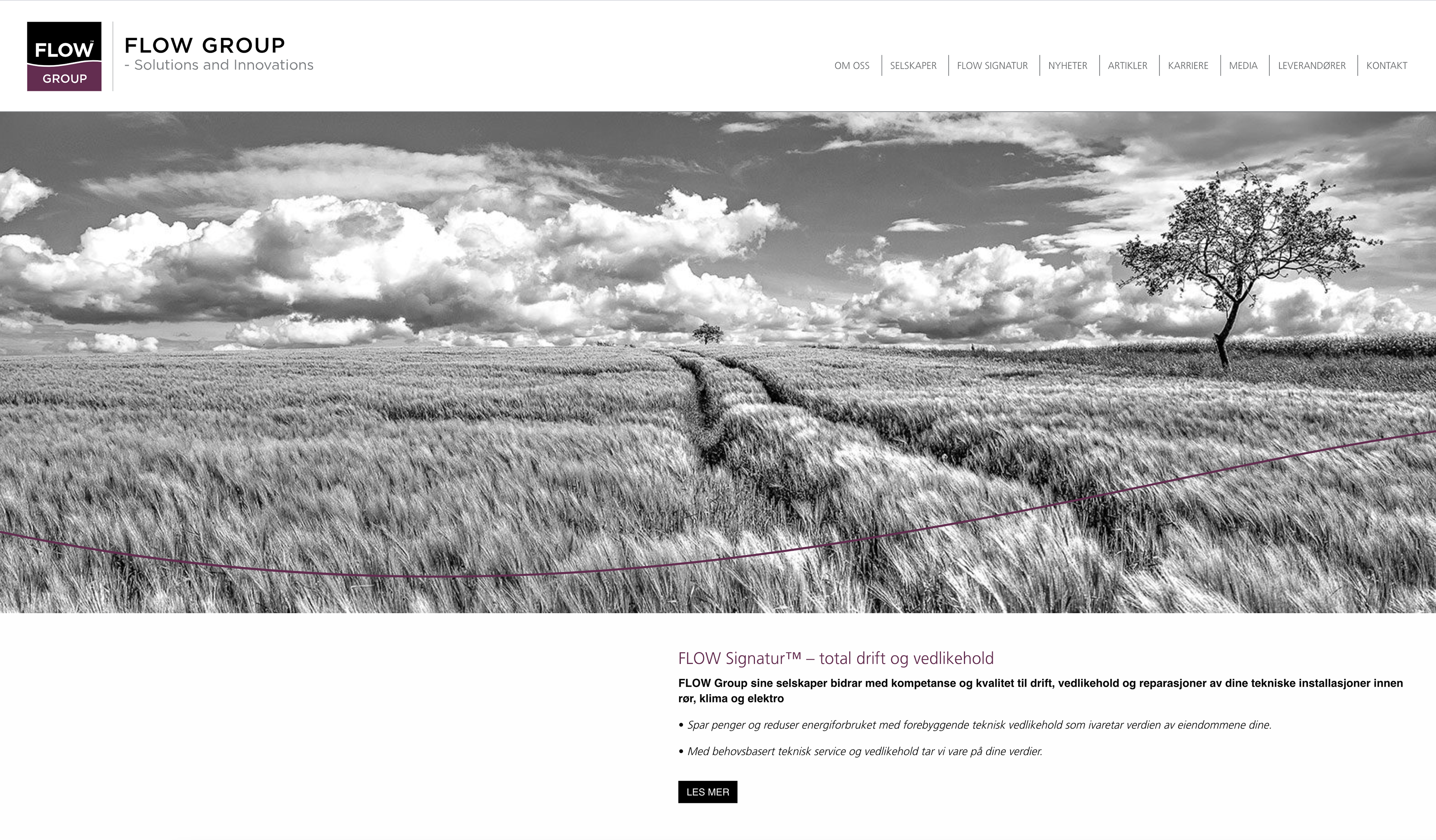 Websider Flow Group