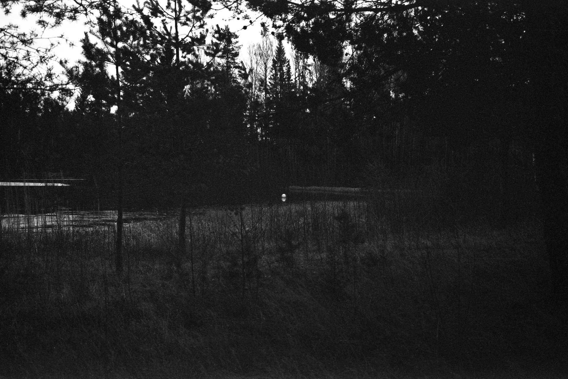 from series "Returns: Setomaa", Wojciech Kamerys, 2020