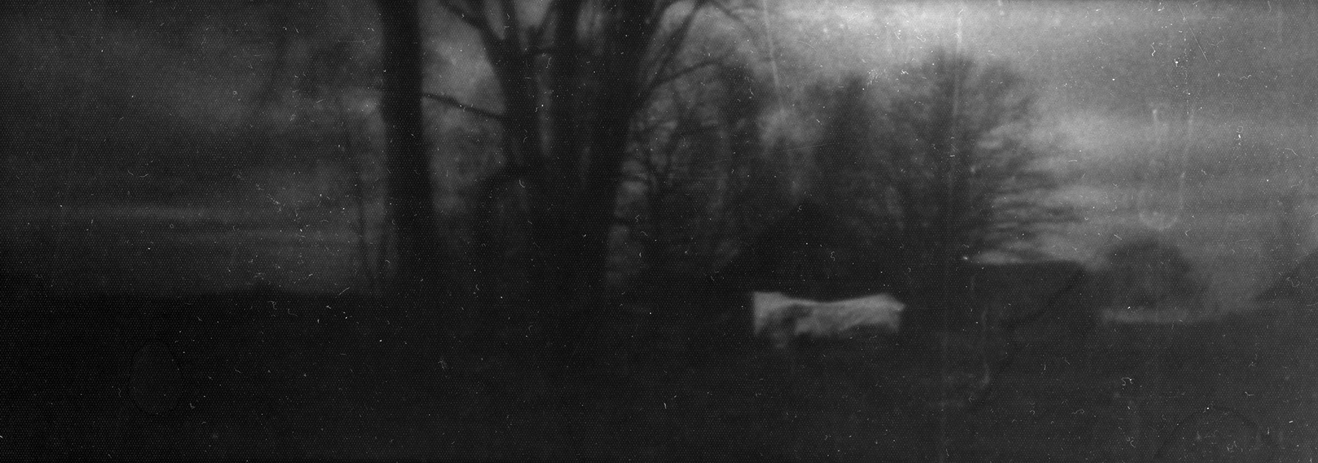 from series "Returns: Setomaa", Jan Kazimierz Barnaś, 2020