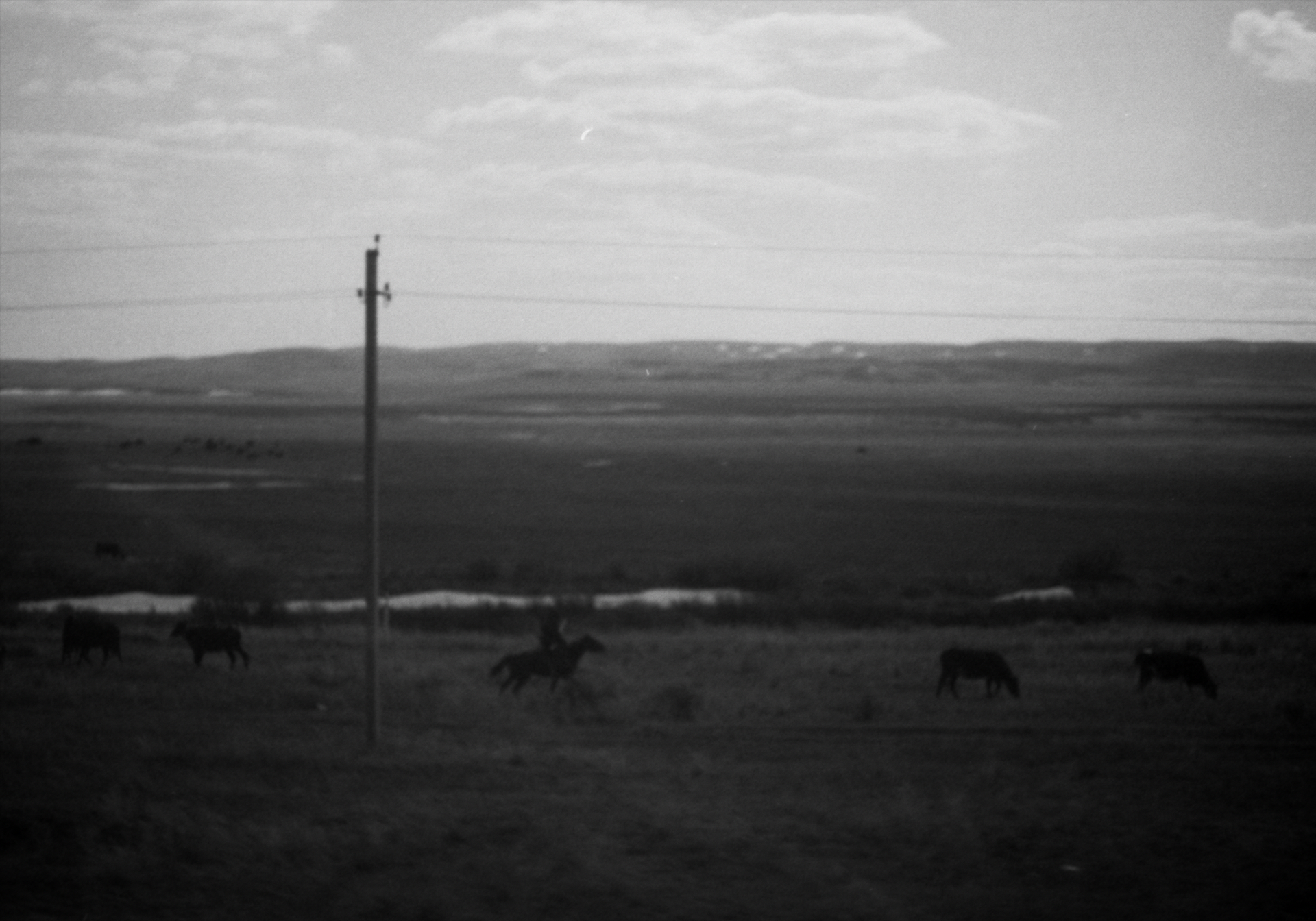 from series "No Man's Land", Wojciech Kamerys, 2019