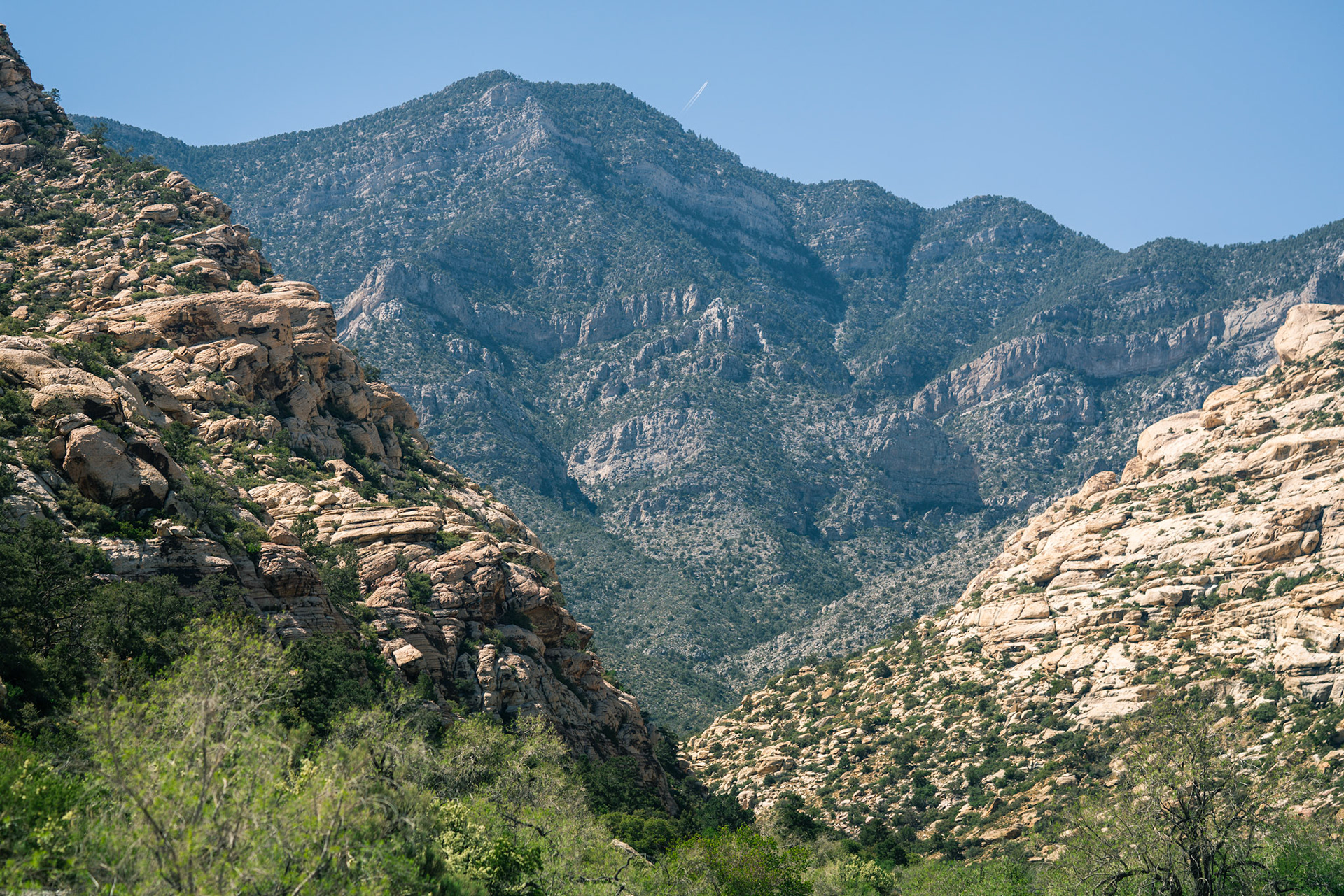 Red Rock Canyon 2018