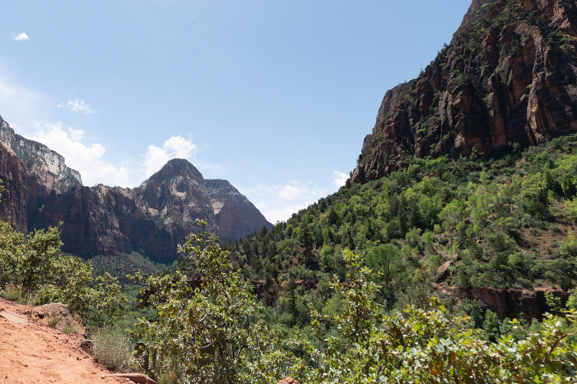 Zion National Park 2018