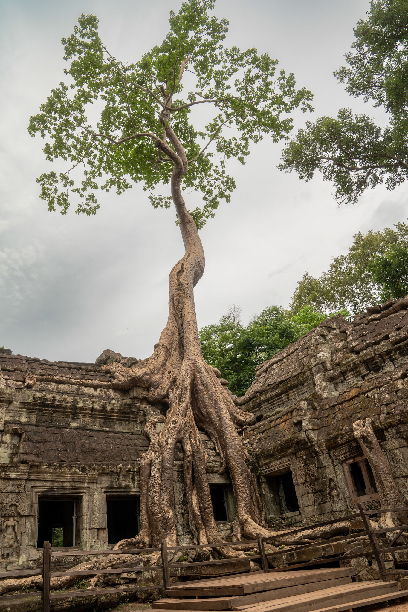 Ta Prohm