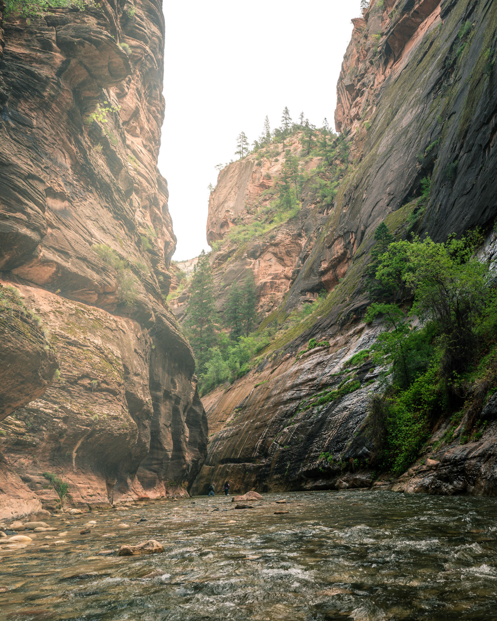 Zion National Park 2018