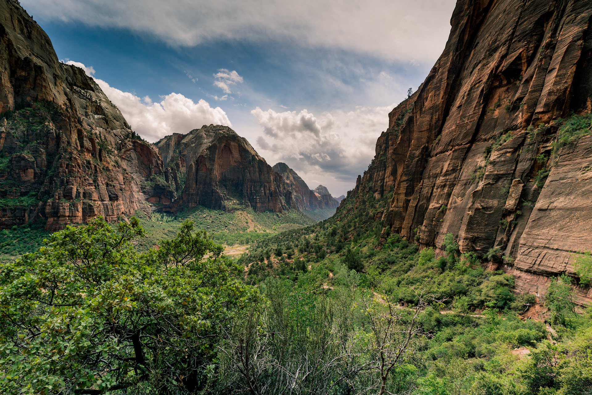 Zion National Park 2018