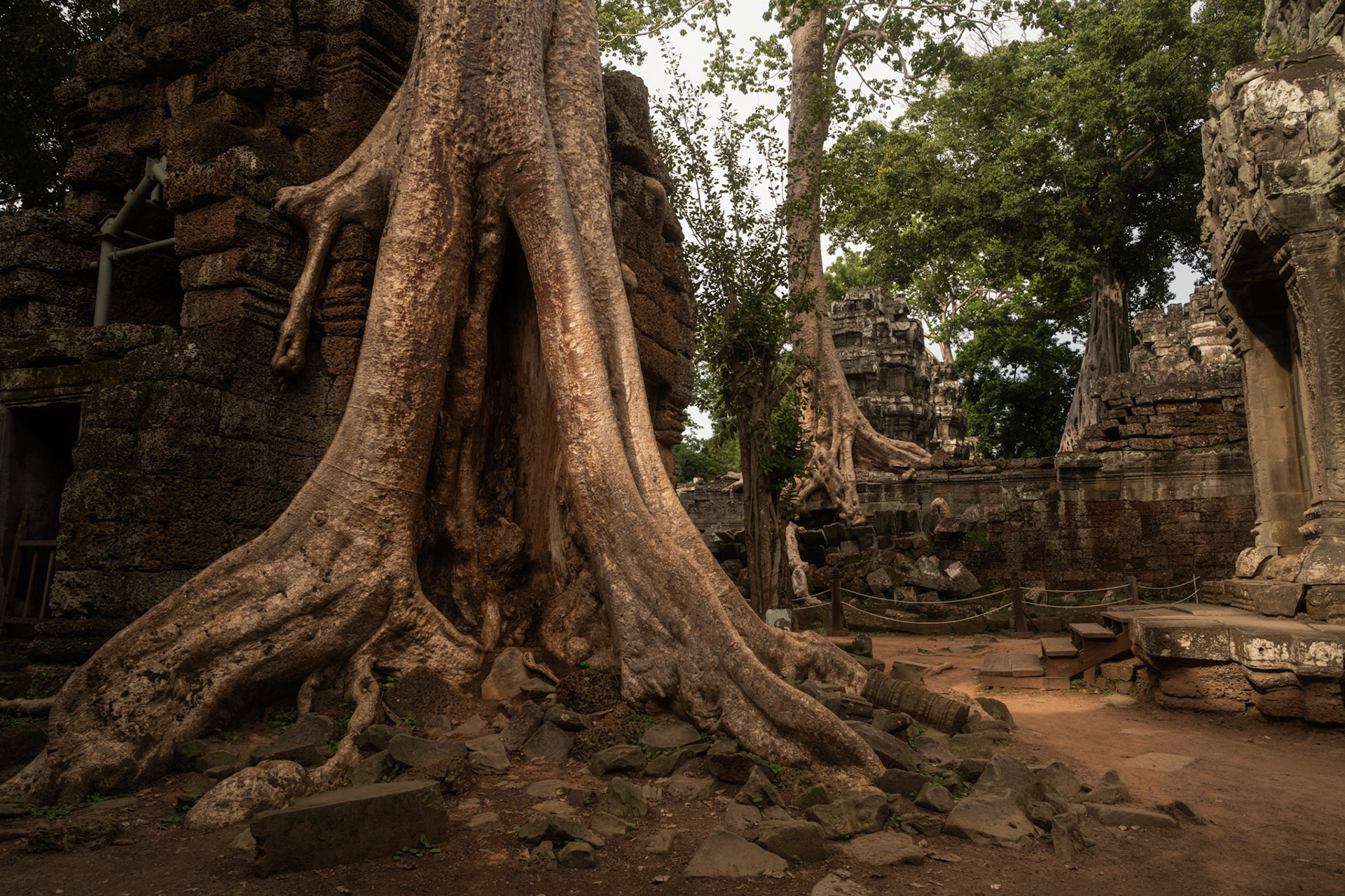 Ta Prohm