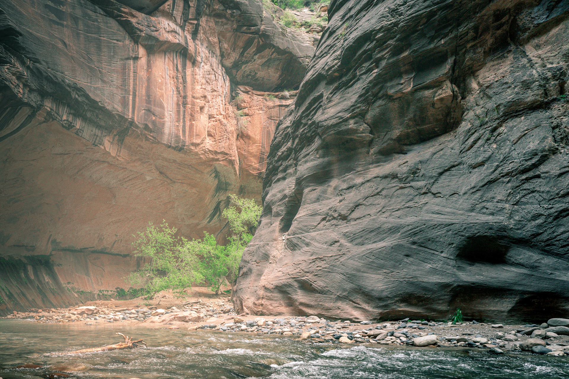 Zion National Park 2018