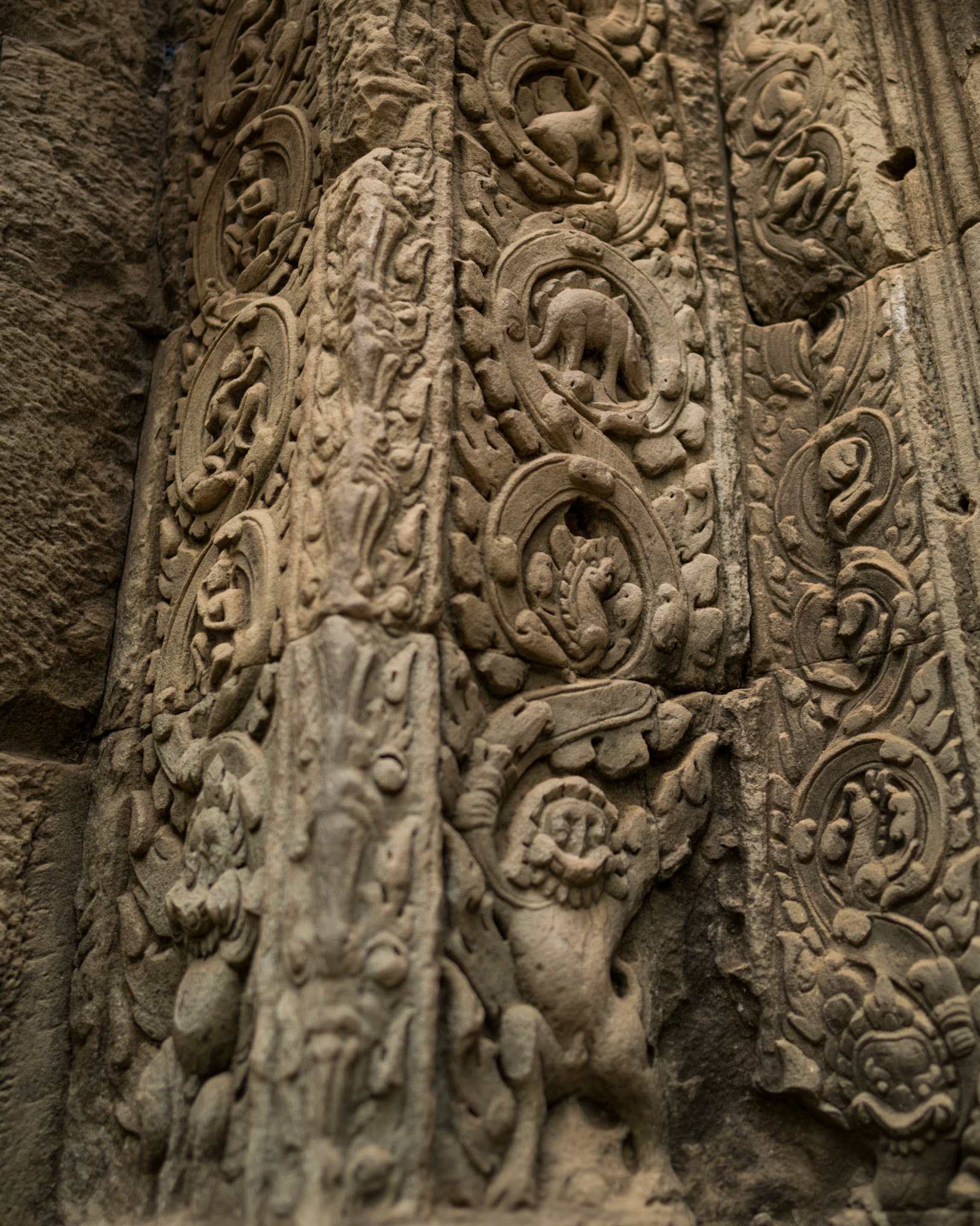 Ta Prohm