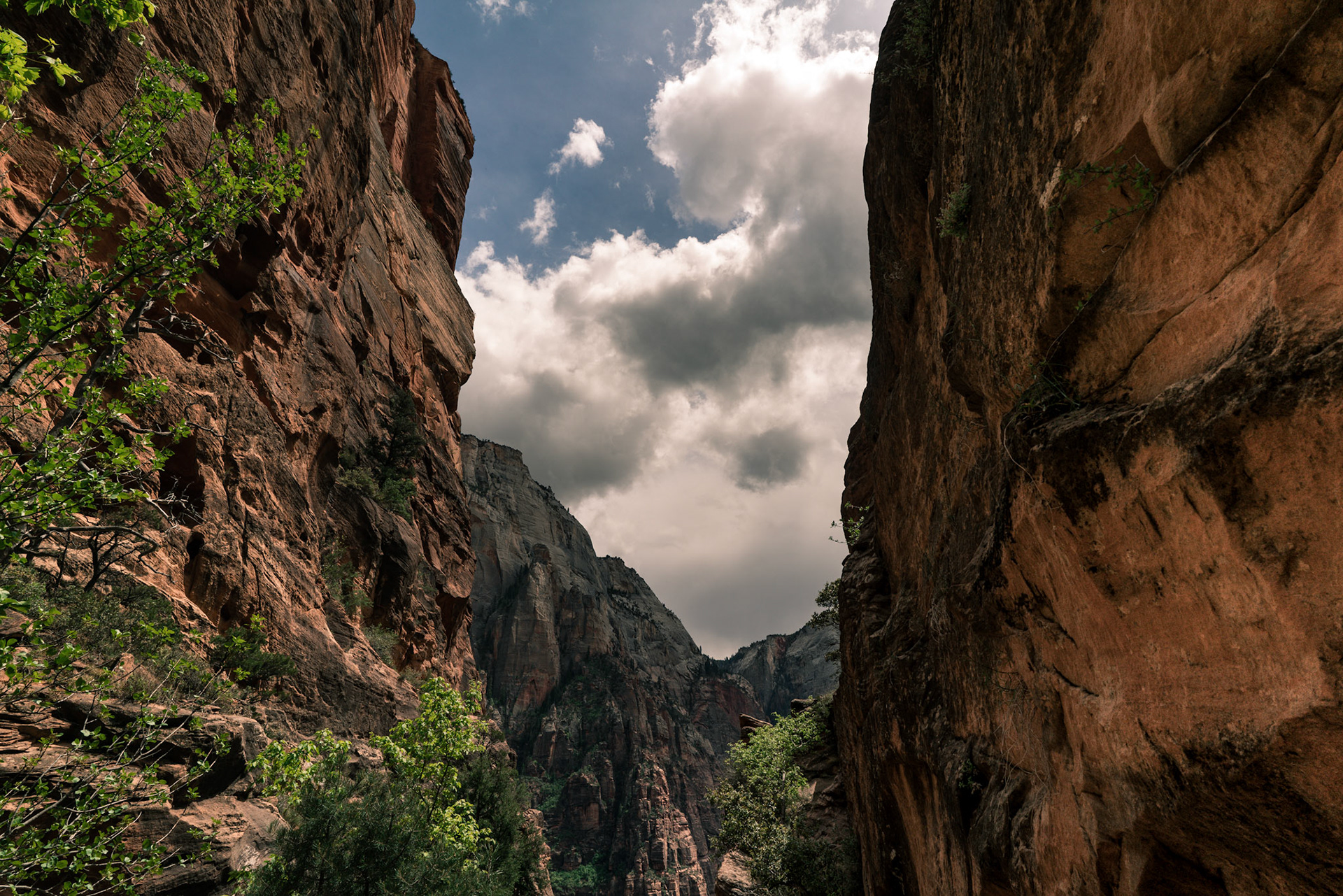 Zion National Park 2018