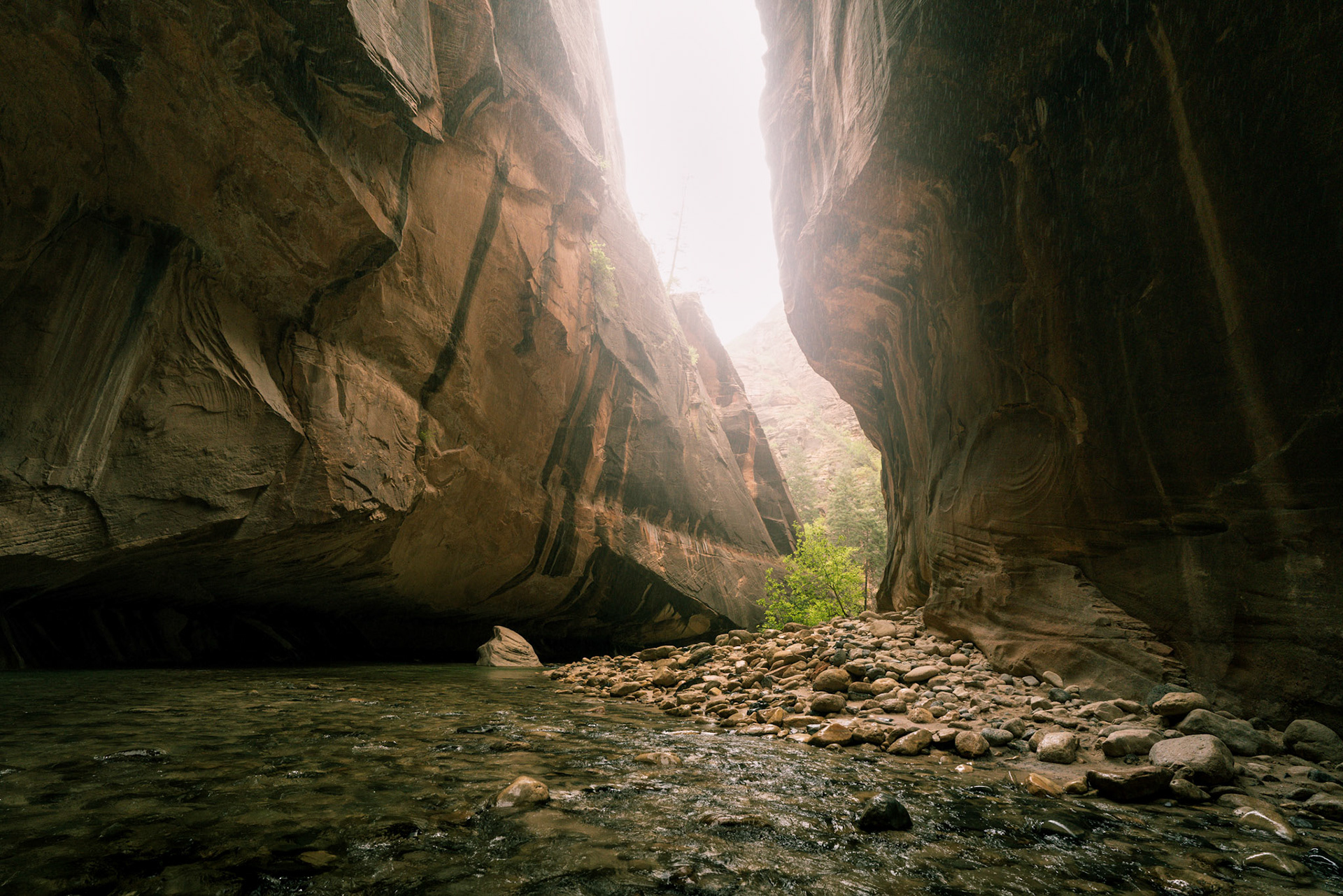 Zion National Park 2018