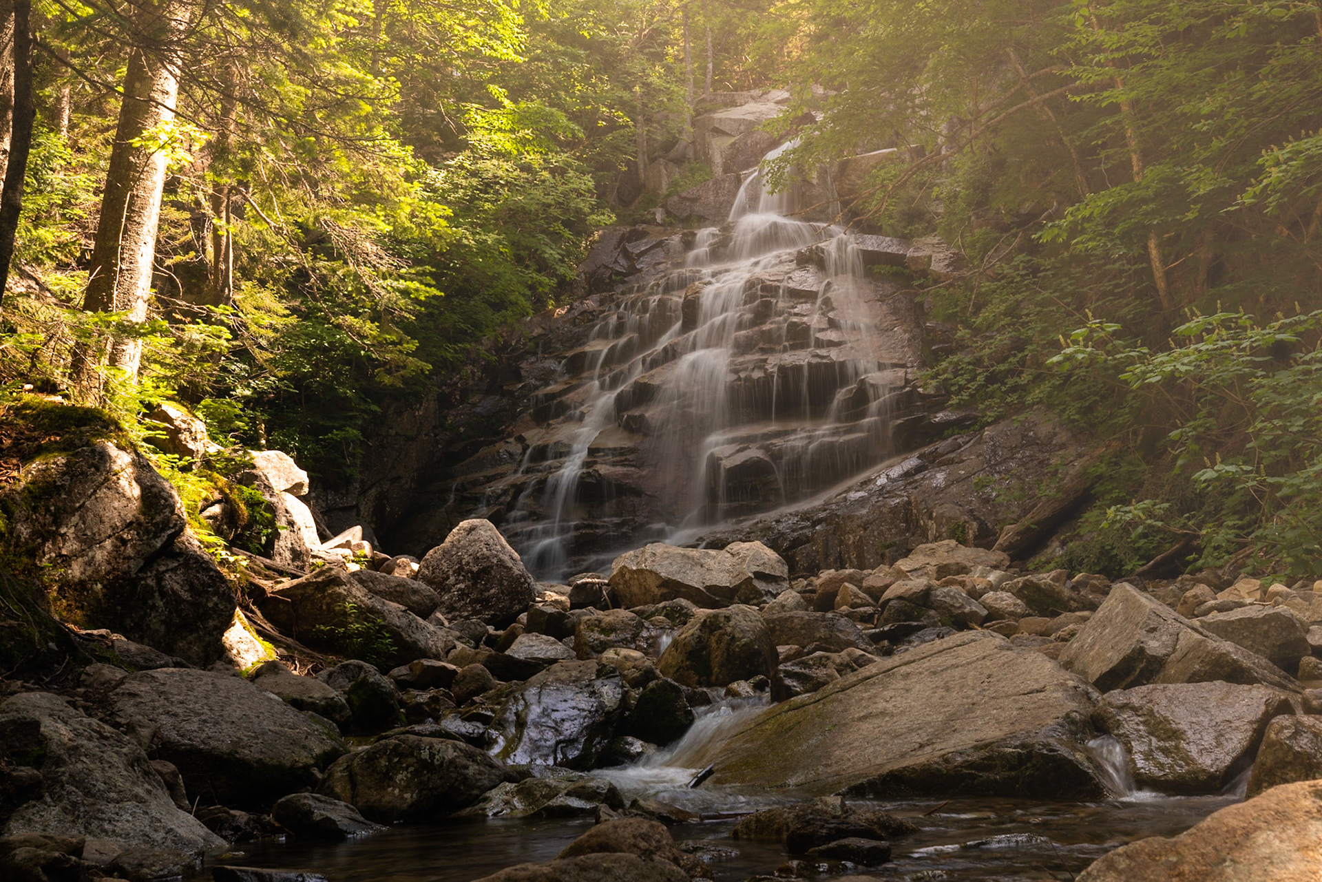 Falling Waters Trail 2019