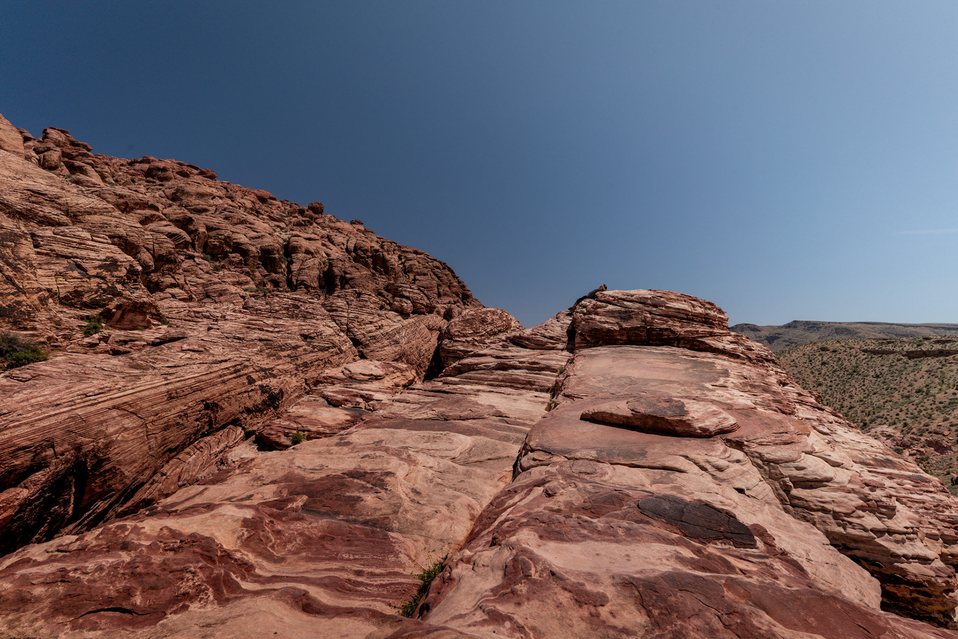 Red Rock Canyon 2018