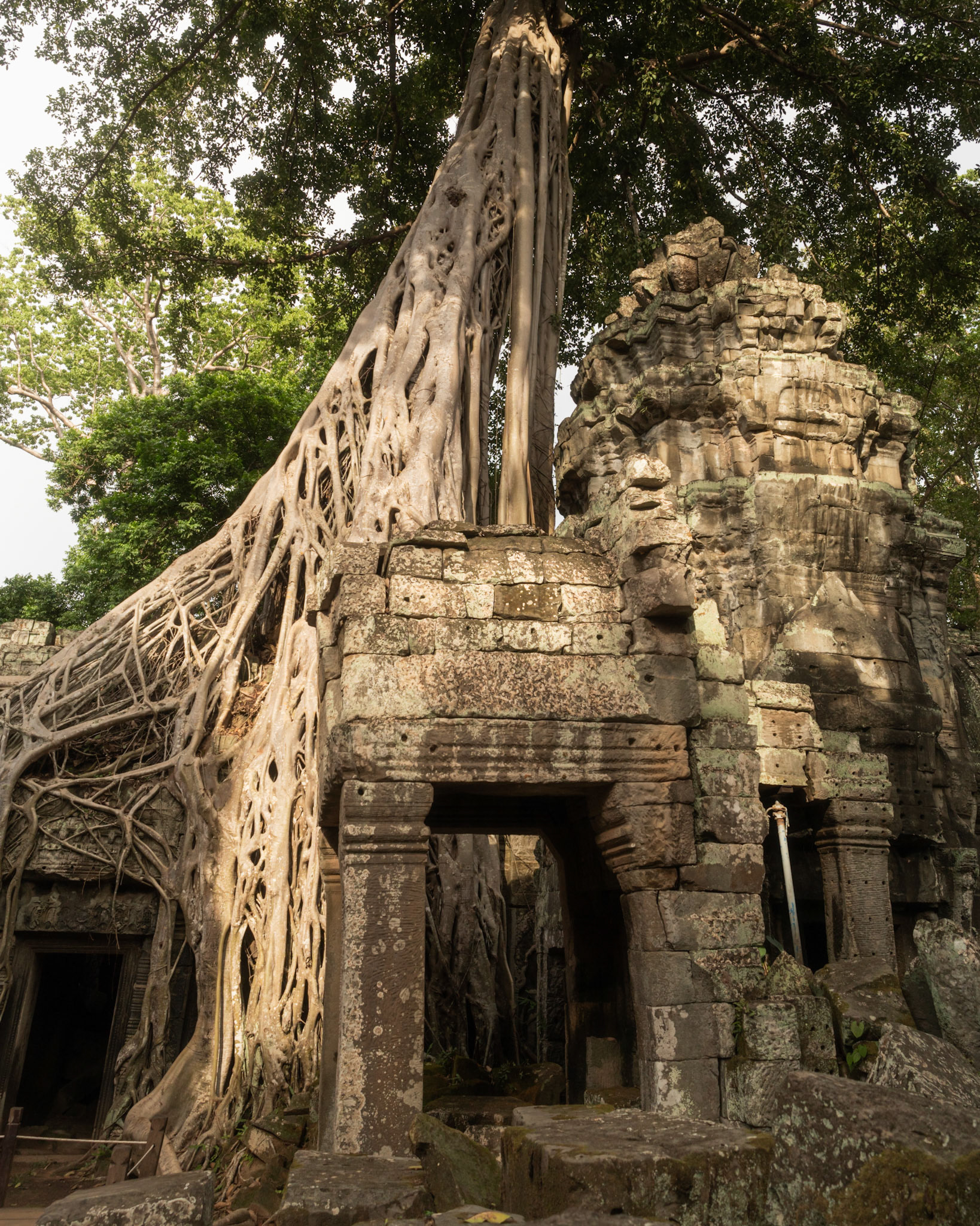 Ta Prohm
