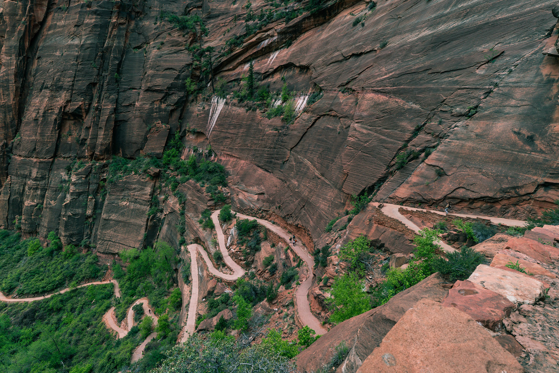 Zion National Park 2018
