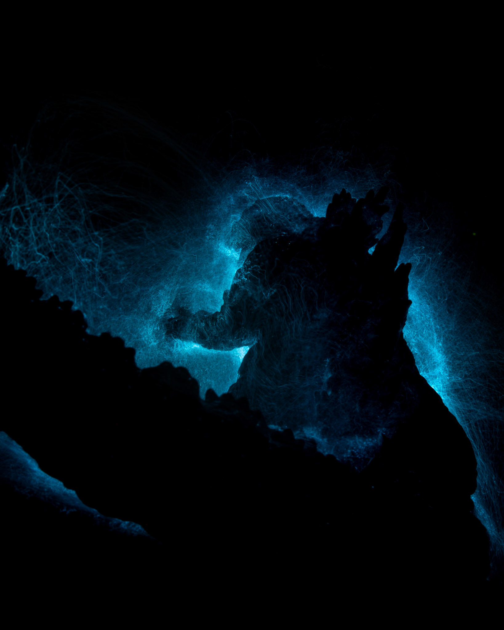 2020 - Godzilla 1.0