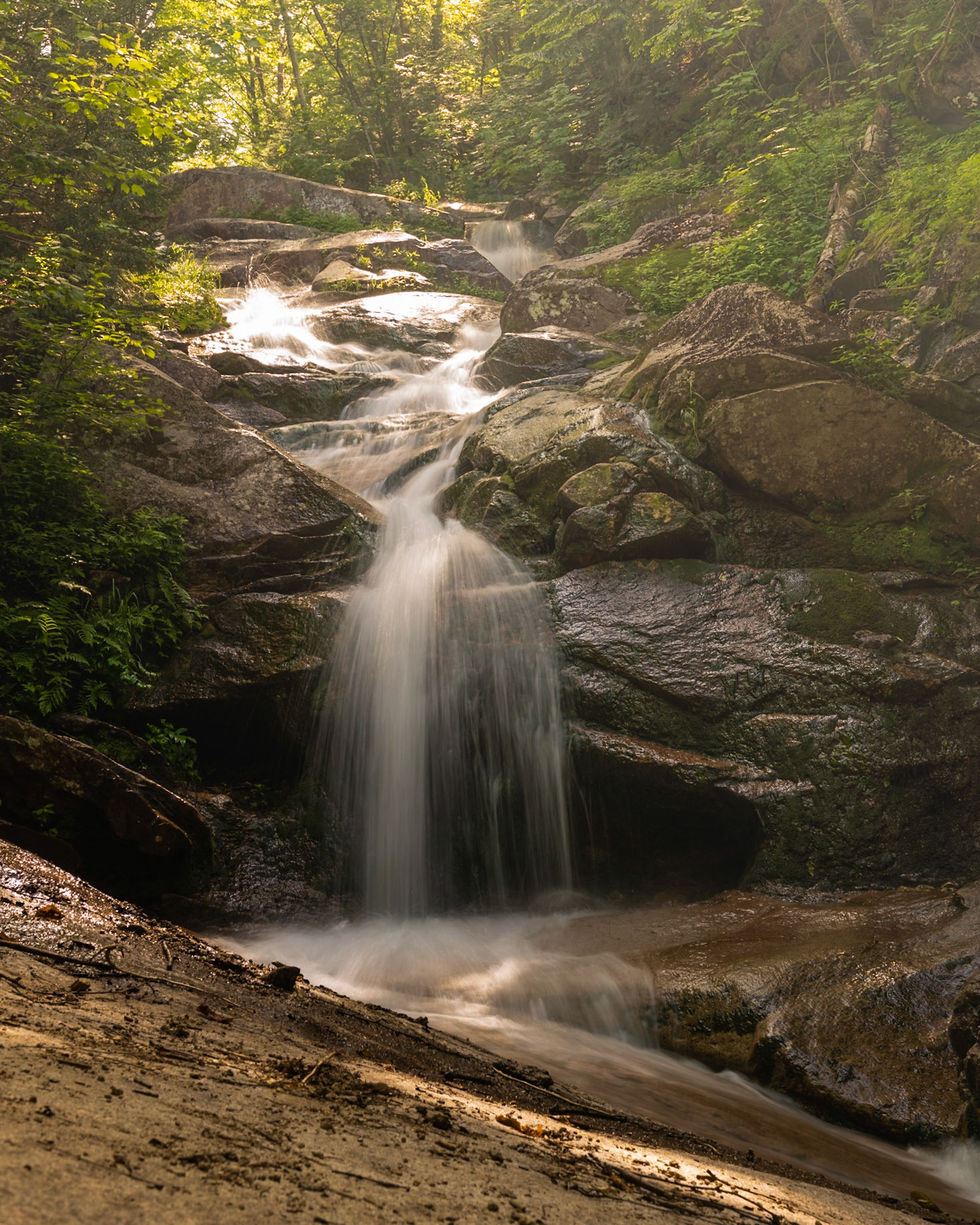 Falling Waters Trail 2019