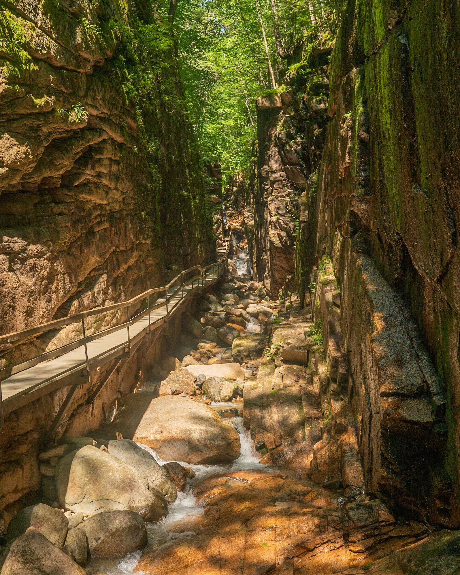 Flume Gorge 2019